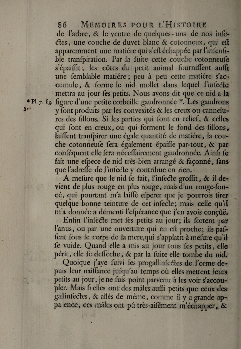 de l’arbre, & le ventre de quelques-uns de nos inlè- étes, une couche de duvet blanc & cotonneux, qui efi apparemment une matière qui s’ell échappée par l’inlènfi- ble tranfpiration. Par la fuite cette couche cotonneule s’épailfit; les côtes du petit animal fournilfent aulfi une femblable matière ; peu à peu cette matière s’ac¬ cumule, & forme le nid mollet dans lequel l’infeéte mettra au jour fes petits. Nous avons dit que ce nid a la • figure d’une petite corbeille gaudronnée *. Les gaudrons y font produits par les convexités & les creux ou cannelu¬ res des filions. Si les parties qui font en relief, & celles qui font en creux, ou qui forment le fond des filions, laififent tranfpirer une égale quantité de matière, la cou¬ che cotonneufe fera également épailfe par-tout, & par confisquent elle fera néceffairement gaudronnée. Ainfi le fait une efpece de nid très-bien arrangé & façonné, fans que l’adrelfe de l’infeéle y contribue en rien. A mefure que le nid le fait, l’infeéle grolfit, & il de¬ vient déplus rouge en plus rouge, mais d’un rouge-fon¬ cé, qui pourtant m’a lailfé efperer que je pourrois tirer quelque bonne teinture de cet infeéle; mais celle qu’il m’a donnée a démenti l’efpérance que j’en avois conçue. Enfin l’infeéle met lès petits au jour; ils lortent par l’anus, ou par une ouverture qui en ell proche; ils paf> lent fous le corps de la mere.qui s’applatit à mefure qu’il fe vuide. Quand elle a mis au jour tous fes petits, elle périt, elle fe delféche, & par la fuite elle tombe du nid. Quoique j’aye fuivi les progaiIinfeéles de forme de¬ puis leur naififance jufqu’au temps où elles mettent leurs petits au jour, je ne fuis point parvenu à les voir s’accou¬ pler. Mais fi elles ont des mâles aulfi petits que ceux des gallinfeéles, & ailés de même, comme il y a grande ap- pa ence, ces mâles ont pû très-aifément m’échapper, &