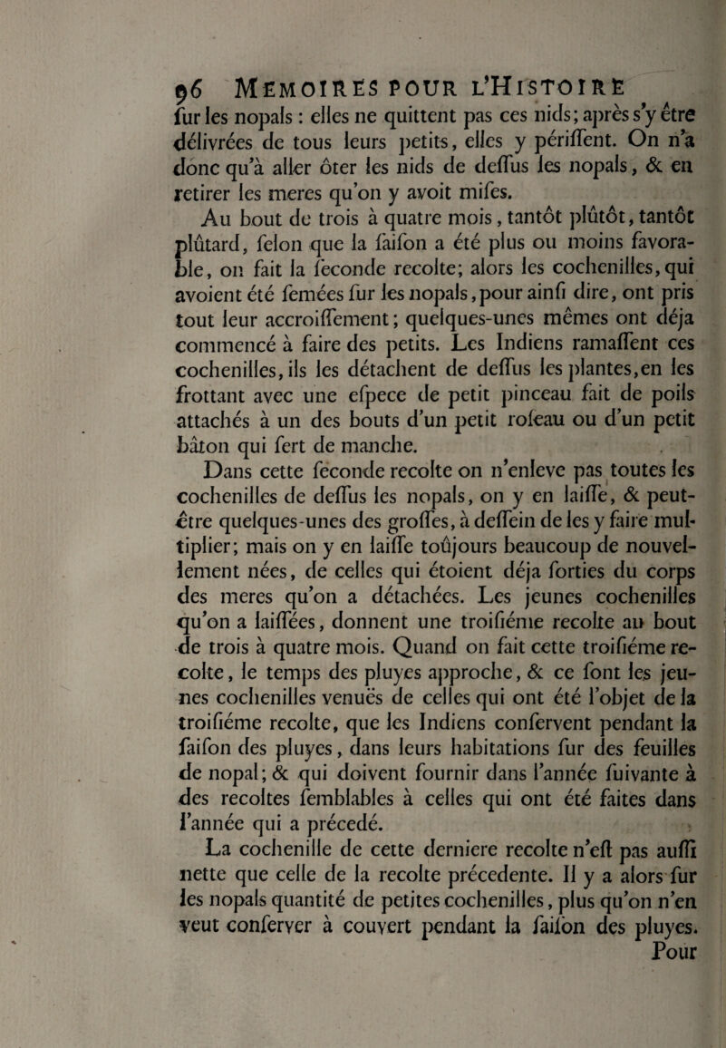 fur les nopals : elles ne quittent pas ces nids; après s y être délivrées de tous leurs petits, elles y périlïent. On n’a donc qu’à aller ôter les nids de deffus les nopals, & en retirer les meres qu’on y avoit mifes. Au bout de trois à quatre mois, tantôt plutôt, tantôt plûtard, félon que la faifon a été plus ou moins favora¬ ble, on fait la féconde récolté; alors les cochenilles, qui avoient été femées fur les nopals .pour ainfi dire, ont pris tout leur accroiffement ; quelques-unes mêmes ont déjà commencé à faire des petits. Les Indiens ramaffent ces cochenilles, ils les détachent de deflus les plantes,en les frottant avec une efpece de petit pinceau fait de poils attachés à un des bouts d’un petit rofeau ou d’un petit bâton qui fert de manche. Dans cette fécondé récolté on n’enleve pas toutes les cochenilles de deffus les nopals, on y en laiffe, & peut- ctre quelques-unes des greffes, à deffein de les y faire mul¬ tiplier; mais on y en laiffe toujours beaucoup de nouvel¬ lement nées, de celles qui étoient déjà forties du corps des meres qu’on a détachées. Les jeunes cochenilles qu on a laiflees, donnent une troifiéme récolté au bout de trois à quatre mois. Quand on fait cette troifiéme ré¬ colté, le temps des pluyes approche, & ce font les jeu¬ nes cochenilles venues de celles qui ont été lobjet de la troifiéme récolté, que les Indiens confervent pendant la faifon des pluyes, dans leurs habitations fur des feuilles de nopal; & qui doivent fournir dans l’année fuivante à des récoltés femblables à celles qui ont été faites dans l’année qui a précédé. La cochenille de cette derniere récolté n’eft pas auflî nette que celle de la récolté précédente. Il y a alors fur les nopals quantité de petites cochenilles, plus qu’on n’en veut conferyer à couvert pendant la faiion des pluyes* Pour