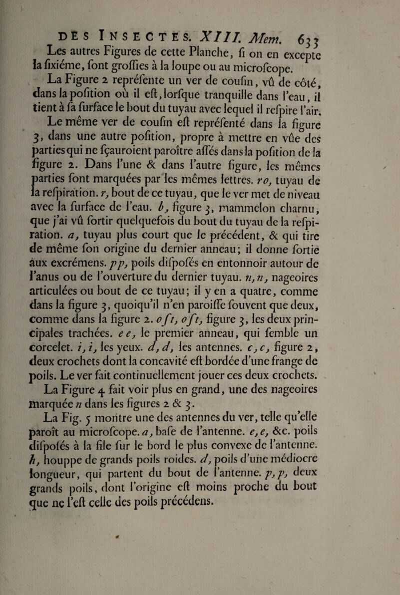 Les autres Figures de cette Planche, fi on en excepte la fixiéme, font grolfies à la loupe ou au microfcope. La Figure 2 repréfente un ver de coufin, vû de côté, clans lapofition où il eft.lorfque tranquille dans l’eau, il tient à fa furface le bout du tuyau avec lequel il refpire l’air. Le même ver de coufin eft repréfenté dans la figure 3, dans une autre pofition, propre à mettre en vûe des parties qui ne fçauroient paraître afies dans la pofition de la figure 2. Dans l’une & dans l’autre figure, les mêmes parties font marquées par les mêmes lettres, ro, tuyau de la refpiration. r, bout de ce tuyau, que le ver met de niveau avec la furface de l’eau, b, figure 3, mammelon charnu, que j ’ai vû fortir quelquefois du bout du tuyau de la refpi¬ ration. a, tuyau plus court que le précédent, & qui tire de même fon origine du dernier anneau ; il donne fortie aux excrémens. pp, poils difpofés en entonnoir autour de l’anus ou de l’ouverture du dernier tuyau. n,n, nageoires articulées ou bout de ce tuyau; il y en a quatre, comme dans la figure 3, quoiqu’il n’en paroilfe fouvent que deux, comme dans la figure 2. of t, oft, figure 3, les deux prin¬ cipales trachées, ee, le premier anneau, qui femble un corcelet. i, i, les yeux, d, d, les antennes, c, c, figure 2, deux crochets dont la concavité eft bordée d’une frange de poils. Le ver fait continuellement jouer ces deux crochets. La Figure 4. fait voir plus en grand, une des nageoires marquée n dans les figures 2 & 3. La Fig. y montre une des antennes du ver, telle quelle paraît au microfcope. a,bafe de l’antenne. e,e, &c. poils difpolés à la file fur le bord le plus convexe de l’antenne. h, houppe de grands poils raides, d, poils d’une médiocre longueur, qui partent du bout de l’antenne, p,p, deux grands poils, dont l’origine eft moins proche du bout que ne l’eft celle des poils précédais.