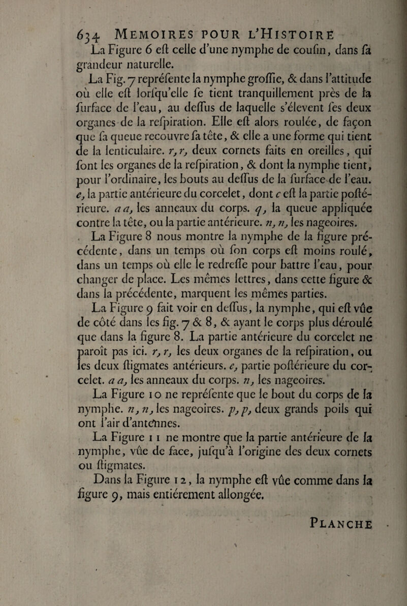 La Figure 6 eft celle d’une nymphe de coufin, dans fa grandeur naturelle. La Fig. 7 repréfente la nymphe groiïïe, & dans l’attitude où elle eft lorfqu’elle fe tient tranquillement près de la furface de l’eau, au deiïus de laquelle s’élèvent les deux organes de la refpiration. Elle eft alors roulée, de façon que fa queue recouvre fa tête, & elle a une forme qui tient de la lenticulaire. r,r, deux cornets faits en oreilles, qui font les organes de la refpiration, & dont la nymphe tient, pour l’ordinaire, les bouts au deiïus de la furface de l’eau. e, la partie antérieure du corcelet, dont c eft la partie pofté- rieure. a a, les anneaux du corps, q, la queue appliquée contre la tête, ou la partie antérieure, n, ?i, les nageoires. , La Figure 8 nous montre la nymphe de la figure pré¬ cédente, dans un temps où fon corps eft moins roulé, dans un temps où elle le redrefle pour battre l’eau, pour changer de place. Les mêmes lettres, dans cette figure ôc dans la précédente, marquent les mêmes parties. La Figure 9 fait voir en deiïus, la nymphe, qui eft vue de côté dans les fig. 7 & 8, & ayant le corps plus déroulé que dans la figure 8. La partie antérieure du corcelet ne paroît pas ici. r? r, les deux organes de la refpiration, ou les deux ftigmates antérieurs, e, partie poftérieure du cor¬ celet. a a, les anneaux du corps, n, les nageoires. La Figure 10 ne repréfente que le bout du corps de la nymphe, n, n, les nageoires. deux grands poils qui ont l’air d’antetones. La Figure 1 1 ne montre que la partie antérieure de h nymphe, vue de face, jufqu’à l’origine des deux cornets ou ftigmates. Dans la Figure 12, la nymphe eft vue comme dans la figure 9, mais entièrement allongée. Planche