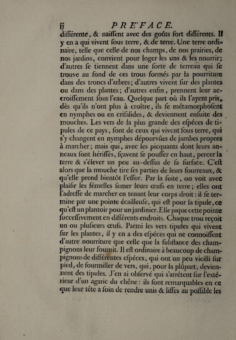 différente, & naiffent avec des goûts fort différents. Il y en a qui vivent fous terre, & de terre. Une terre ordi-> mire, telle que celle de nos champs, de nos prairies, de nos jardins, convient pour loger les uns & les nourrir; d’autres fe tiennent dans une forte de terreau qui fo trouve au fond de ces trous formés par la pourriture dans des troncs d’arbres; d’autres vivent fur des plantes ou dans des plantes ; d’autres enfin, prennent leur ac- croiffement fous l’eau. Quelque part où ils l’ayeftt pris* dès qu’ils n’ont plus à croître, ils fe métamorphofont en nymphes ou en crifalides, & deviennent enfuite des mouches. Les vers de la plus grande des efpéces de ti- pules de ce pays, font de ceux qui vivent fous terre, qui s’y changent en nymphes dépourvues de jambes propres à marcher ; mais qui, avec les picquants dont leurs an¬ neaux font hériffés, fçavent fe pouffer en haut, percer la terre & s’élever un peu au-deffus de fa furface. C’eft alors que la mouche tire les parties de leurs fourreaux, <$c qu’elle prend bientôt l’effor. Par la fuite, on voit avec plaifir les fémelles femer leurs œufs en terre ; elles ont î’adreffe de marcher en tenant leur corps droit : il fe ter¬ mine par une pointe écailleufe, qui eft pour la tipule,ce qu’eft un plantoir pour un jardinier. Elle pique cette pointe fucceffivement en différents endroits. Chaque trou reçoit un ou plufieurs œufs. Parmi les vers tipules qui vivent fur les plantes, il y en a des efpéces qui ne connoiffent d’autre nourriture que celle que la fubltance des cham¬ pignons leur fournit. Il eft ordinaire à beaucoup de cham¬ pignons de différentes efpéces, qui ont un peu vieilli fur pied, de fourmiller de vers, qui, pour la plûpart, devien¬ nent des tipules. J’en ai oblervé qui s’arrêtent fur l’exté¬ rieur d un agaric du chêne : ils font remarquables en ce que leur tete a foin de rendre unis & liffes au poflible les