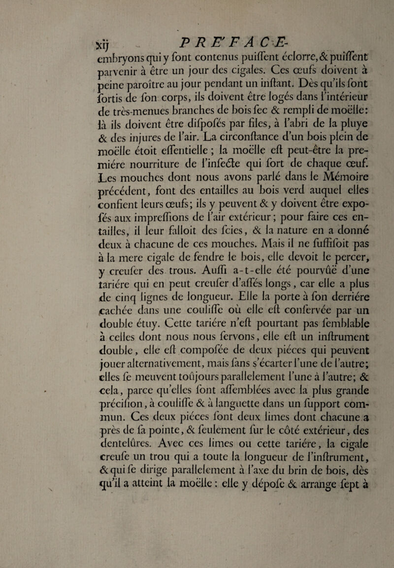 xi; - PREFACE- embryons qui y font contenus pu if font éclorre, & puiffont parvenir à être un jour des cigales. Ces œufs doivent à peine paroître au jour pendant un inflant. Dès qu'ils font fortis de fon corps, ils doivent être logés dans l’intérieur de très-menues branches de bois foc & rempli de moelle: là ils doivent être difpofés par files, à l’abri de la pluye & des injures de l’air. La circonftance d’un bois plein de moelle étoit effontielle ; la moelle efl peut-être la pre¬ mière nourriture de l’infoéle qui fort de chaque œuf. Les mouches dont nous avons parlé dans le Mémoire précédent, font des entailles au bois verd auquel elles confient leurs œufs; ils y peuvent & y doivent être expo- lés aux impreffions de l’air extérieur ; pour faire ces en¬ tailles, il leur falloit des foies, & la nature en a donné deux à chacune de ces mouches. Mais il ne fuffifoit pas à la mere cigale de fendre le bois, elle devoit le percer, y creufer des trous. Auffi a-t-elle été pourvue dune tarière qui en peut creufer d’affos longs, car elle a plus de cinq lignes de longueur. Elle la porte à fon derrière cachée dans une couliffo où elle efl confervée par un double étuy. Cette tarière n’eft pourtant pas femblable à celles dont nous nous fervons, elle efl un inftrument double, elle efl compofée de deux pièces qui peuvent jouer alternativement, mais fans s’écarter fune de l’autre; elles fe meuvent toujours parallèlement l’une à l’autre; & cela, parce qu’elles font affomblées avec la plus grande précifion, à couliffo & à languette dans un fupport com¬ mun. Ces deux pièces font deux limes dont chacune a près de fa pointe, & feulement fur le côté extérieur, des dentelures. Avec ces limes ou cette tarière, la cigale 7 O creufe un trou qui a toute la longueur de l’inflrument, & qui fe dirige parallèlement à l’axe du brin de bois, dès qu’il a atteint la moelle : elle y dépofe & arrange fept à