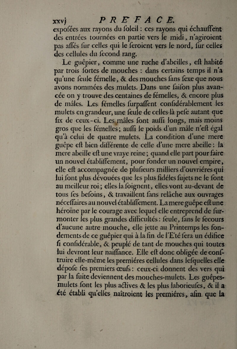 xxvj PRE FA CE. expofées aux rayons du foleil : ces rayons qui échauffent des entrées tournées en partie vers le midi, n agiraient pas affés fur celles qui le feraient vers le nord, fur celles des cellules du fécond rang. Le guêpier, comme une ruche d abeilles, efl habité par trois fortes de mouches : dans certains temps il n a qu’une feule fémelle, & des mouches fans fexe que nous avons nommées des mulets. Dans une faifon plus avan¬ cée on y trouve des centaines de fémeiles, & encore plus de mâles. Les fémeiles furpafTent confidérablement les mulets en grandeur, une feule de celles-là pefe autant que fix de ceux-ci. Les mâles font auffi longs, mais moins gros que les fémeiles ; auffi le poids d’un mâle n’efl égal qu a celui de quatre mulets. La condition d’une merc guêpe efl bien différente de celle d’une mere abeille : la mere abeille efl une vraye reine ; quand elle part pour faire un nouvel établiffement, pour fonder un nouvel empire, elle efl accompagnée de plufieurs milliers d’ouvrières qui lui font plus dévouées que les plus fidèles fujets ne le font au meilleur roi ; elles la foignent, elles vont au-devant de tous fes befoins, & travaillent fans relâche aux ouvrages néceffaires au nouvel établiffement. La mere guêpe efl une héroïne par le courage avec lequel elle entreprend de fur- monter les plus grandes difficultés : feule, fans le fecours d’aucune autre mouche, elle jette au Printemps les fon¬ dements de ce guêpier qui à la fin de l’E'té fera un édifice fi confidérable, & peuplé de tant de mouches qui toutes lui devront leur naiffance. Elle efl donc obligée de confi- truire elle-même les premières cellules dans lefquelles elle dépofe fes premiers œufs : ceux-ci donnent des vers qui par la fuite deviennent des mouches-mulets. Les guêpes- mulets font les plus aélives & les plus laborieufes, & il a été établi quelles naîtraient les premières, afin que la