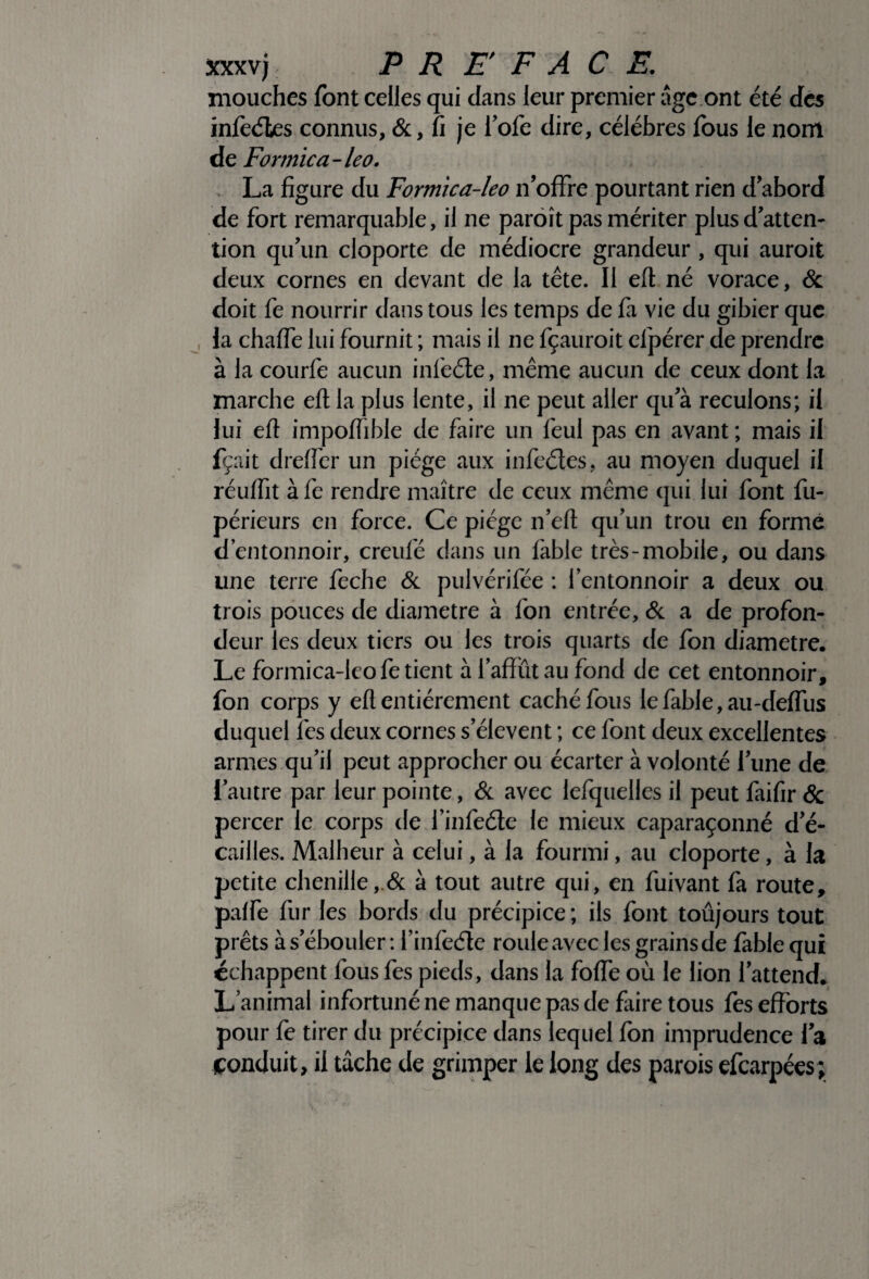 mouches font celles qui dans leur premier âge ont été des înfeétes connus, &, fi je lofe dire, célébrés fous le nom de Formica-leo. La figure du Formica-leo n’offre pourtant rien d’abord de fort remarquable, il ne paroît pas mériter plus d’atten¬ tion qu’un cloporte de médiocre grandeur, qui auroit deux cornes en devant de la tête. Il eft né vorace, & doit fe nourrir dans tous les temps de fil vie du gibier que la chaffe lui fournit ; mais il ne fçauroit efpérer de prendre à la courfe aucun infeéte, même aucun de ceux dont la marche eft la plus lente, il ne peut aller qu’à reculons; il lui eft impoftible de faire un feul pas en avant ; mais il fçait dreffer un piège aux infeétes, au moyen duquel il réuftit à fe rendre maître de ceux même qui lui font fu- périeurs en force. Ce piège n’eft qu’un trou en formé d’entonnoir, creulè dans un fable très-mobile, ou dans une terre feche & pulvérifée : l’entonnoir a deux ou trois pouces de diamètre à fon entrée, & a de profon¬ deur les deux tiers ou les trois quarts de fon diamètre. Le formica-leo fe tient à l’affût au fond de cet entonnoir, fon corps y eft entièrement caché fous le fable, au-deffus duquel fes deux cornes s’élèvent ; ce font deux excellentes armes qu’il peut approcher ou écarter à volonté l’une de l’autre par leur pointe, & avec lefquelles il peut faifir & percer le corps de l’infeéle le mieux caparaçonné d’é- cailles. Malheur à celui, à la fourmi, au cloporte, à la petite chenilleà tout autre qui, en fuivant fa route, palfe fur les bords du précipice ; ils font toûjours tout prêts à s’ébouler : l’infeéle roule avec les grains de fable qui échappent fous fes pieds, dans la foffe où le lion l’attend. L’animal infortuné ne manque pas de faire tous fes efforts pour fe tirer du précipice dans lequel fon imprudence la conduit, il tache de grimper le long des parois efearpées;