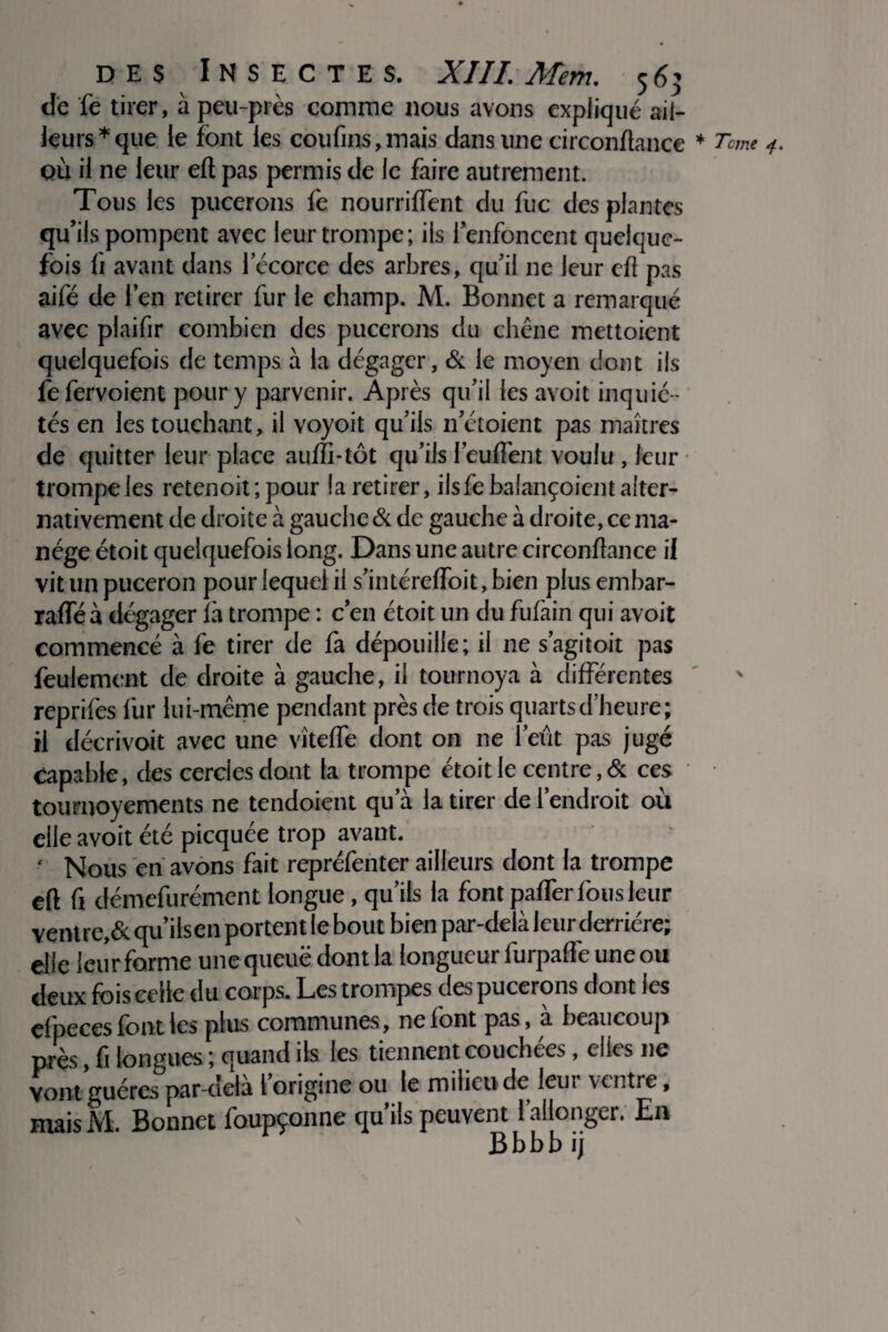 de fe tirer, à peu-près comme nous avons expliqué ail¬ leurs* que le font les coufins,mais dans une circonftance * Tant où il ne leur eft pas permis de le faire autrement. Tous les pucerons fe nourriffent du fuc des plantes qu’ils pompent avec leur trompe; ils l’enfoncent quelque¬ fois fi avant dans l’écorce des arbres, qu’il ne leur eft pas aifé de l’en retirer fur le champ. M. Bonnet a remarqué avec plaifir combien des pucerons du chêne mettoient quelquefois de temps à la dégager, & le moyen dont ils fefervoient pour y parvenir. Après qu’il les avoit inquié¬ tés en les touchant, il voyoit qu’ils n’étoient pas maîtres de quitter leur place aufïî-tôt qu’ils l’euftent voulu , leur trompe les retenoit ; pour la retirer, ilsfebaîançoient alter¬ nativement de droite à gauche & de gauche à droite, ce ma¬ nège étoit quelquefois long. Dans une autre circonflance il vit un puceron pour lequel il s’intérefloit, bien plus embar- raffé à dégager là trompe : c’en étoit un du fufain qui avoit commencé à fe tirer de fa dépouille; il ne s’agitoit pas feulement de droite à gauche, il tournoya à différentes reprifes fur lui-même pendant près de trois quarts d’heure; il décrivoit avec une vîtefle dont on ne l’eût pas jugé Capable, des cercles dont la trompe étoit le centre, & ces tournoyements ne tendoient qu’à la tirer de l’endroit où ciie avoit été picquée trop avant. ' Nous en avons fait repréfenter ailleurs dont la trompe eft fi démefurément longue, qu’ils la font pafler fous leur ventre,& qu’ilsen portent le bout bien par-delà leur derrière; elle leur forme une queuë dont la longueur furpalfe une ou deux fois celle du corps. Les trompes des pucerons dont les efpeces font les plus communes, ne font pas, à beaucoup près, fi longues; quand ils les tiennent couchées, elles ne vont guéres par-dela l origine ou le milieu de leui ventre, mais AI. Bonnet foupçonne qu iis peuvent 1 allonger. E11 Bbbbij