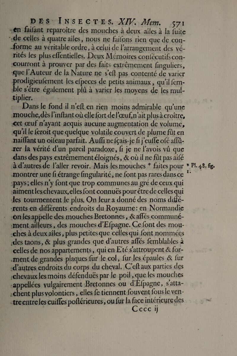 en failànt reparoître des mouches à deux aîies à la fuite ' de celles à quatre ailes, nous ne faifons rien que de con- * forme au véritable ordre, a celui de l’arrangement des vé¬ rités les plus effentielles. Deux Mémoires conlecutifscon¬ courront a prouver par des faits extrêmement finguliers, que l’Auteur de la Nature ne sert pas contenté de varier prodigieufement leselpeccs de petits animaux, qu’il fem- ble s'être également plû à varier les moyens de les mul¬ tiplier. Dans le fond il 11’eft en rien moins admirable qu’une mouche,dès l’inftant où elle fort de feeuf,n’ait plus à croître, cet œuf n’ayant acquis aucune augmentation de volume, qu’il le lèroit que quelque volatile couvert de plume fût en naiffant un oileau parfait. Auffi nefçais-je fi j’euffeofé affû¬ ter la vérité d’un pareil paradoxe, fi je ne l’avois vu que dans des pays extrêmement éloignés, 6c où il ne fût pas aifé à d’autres de l’aller revoir. Mais les mouches * faites pour * PI. 48.%. montrer une fi étrange Angularité, ne font pas rares dans ce 1 ' pays ; elles n’y font que trop communes au gré de ceux qui aiment les chevaux, elles font connues pour être de celles qui les tourmentent le plus. On leur a donné des noms diffé¬ rents en différents endroits du Royaume: en Normandie ' on les appelle des mouches Bretonnes, 6c affés communé¬ ment ailleurs, des mouches d’Efpagne. Ce font des mou¬ ches à deux aîies, plus petites que cellesqui font nommées des taons, 6c plus grandes que d’autres affés fomblables à celles de nos appartements, qui en Eté s’attroupent 6c for- .ment de grandes plaques fur le col, fur les épaules 6c fur d’autres endroits du corps du cheval. C’eflaux parties des rchevaux les moins défendues par le poil, que les mouches appellées vulgairement Bretonnes ou dElpagnc, satta- c îent plus volontiers, elles fe tiennent fouvent fous le ven¬ tre entre les cuiffes poftérieures, ou fur la face intérieure des Ce ce ij