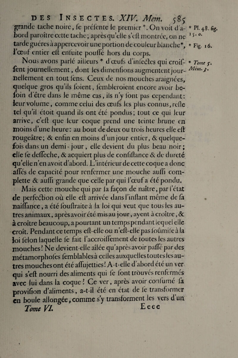 grande tache noire, fe préfente ie premier *. On voit d'a¬ bord paraître cette tache; après qu’elle s’cil montrée, on ne tarde guéres à appercevoir une portion de couleur blanche1', l’œuf entier eit eriluite pouffé hors du corps. Nous avons parlé ailleurs * d œufs d’infèétes qui croif- fent journellement, dont les dimenfions augmentent jour¬ nellement en toutlèns. Ceux de nos mouches araignées, quelque gros qu’ils loient, lembleroient encore avoir be- foin d être dans le même cas, iis n’y lont pas cependant: leur volume, comme celui des œufs les plus connus, refte tel qu’il étoit quand ils ont été pondus; tout ce qui leur arrive, c’eft que leur coque prend une teinte brune en moins d’une heure : au bout de deux ou trois heures elle eft rougeâtre; & enfin en moins d’un jour entier, & quelque¬ fois dans un demi-jour, elle devient du plus beau noir; elle iè defTeche, & acquiert plus de confiftance & de dureté qu’elle n’en avoit d’abord. L’intérieur de cette coque a donc affés de capacité pour renfermer une mouche auffi com- plette & auffi grande que celle par qui l’œuf a été pondu. Mais cette mouche qui par la façon de naître, par i’état de perfection où elle eft arrivée dansl’inftant même de fa naiffance, a étéfouftraiteà la loi qui veut que tous les au¬ tres animaux, après avoir été mis au jour, ay eut à croître, & à croître beaucoup, a pourtant un temps pendant lequel elle croît. Pendant ce temps eft-elle ou n’eft-elle pas loûmile à la loi félon laquelle lé fait l’accroiffement de toutes les autres mouches! Ne devient-elle aîlée qu’après avoir paffé par des métamorphofes femblabiesà celles auxquelles toutes les au¬ tres mouches ont été affujetties ! A-t-elle d’abord été un ver qui sert nourri des aliments qui fe font trouvés renfermés avec lui dans la coque î Ce ver, apres avoir cou lu me fa provifion d’aliments, a-t-il été en état de le transformer en boule allongée,comme s’y transforment les vers d’un Tome VL Eeee * pi. 48. 15.0. * Fig. 16. * Tome y. Al cm. j.