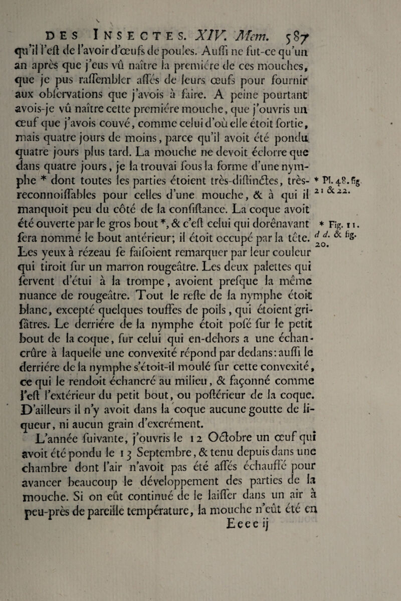 20. quil l’eft de l’avoir d’œufs de poules. AulTi ne fut-ce qu’un an après que j’eus vu naître la première de ces mouches, que je pus raffembler afles de leurs œufs pour fournir aux oblcrvations que j’avois à faire. A peine pourtant avois-je vu naître cette première mouche, que j’ouvris un œuf que j’avois couvé, comme celui d’où elle étoit fortie, mais quatre jours de moins, parce qu’il avoit été pondu quatre jours plus tard. La mouche ne devoit éclorrequc dans quatre jours, je la trouvai fous la forme d’une nym¬ phe * dont toutes les parties étoient très-diftinétes, très- * PI. 48.% reconnoiffables pour celles d’une mouche, & à qui il 25 &22‘ manquoit peu du côté de la confiftance. La coque avoit été ouverte par le gros bout *, & c’efl celui qui dorénavant * Fig. 11. fera nommé le bout antérieur; il étoit occupé par la tête. d d‘ & i]*' Les yeux à rézeau fe faifoient remarquer par leur couleur qui tiroit fur un marron rougeâtre. Les deux palettes qui fervent d’étui à la trompe, avoient prefque la même nuance de rougeâtre. Tout le refte de la nymphe étoit blanc, excepté quelques touffes de poils , qui étoient gri- fâtres. Le derrière de la nymphe étoit pôle fur le petit bout de la coque, fur celui qui en-dehors a une échan¬ crure à laquelle une convexité répond par dedans:auffi le derrière delà nymphe s’étoit-il moulé fur cette convexité, ce qui le rendoit échancré au milieu, & façonné comme fefl: l’extérieur du petit bout, ou poftérieur de la coque. D’ailleurs il n’y avoit dans la coque aucune goutte de li¬ queur, ni aucun grain d’excrément. L’année fuivante, j’ouvris le 12 Oéïobre un œuf qui avoir été pondu le 13 Septembre, & tenu depuis dans une chambre dont l’air n’avoit pas été affés échauffé pour avancer beaucoup le développement des parties de la mouche. Si on eût continué ce le biffer dans un air a peu-près dépareillé température, la mouche n’eût été en Eeee ij