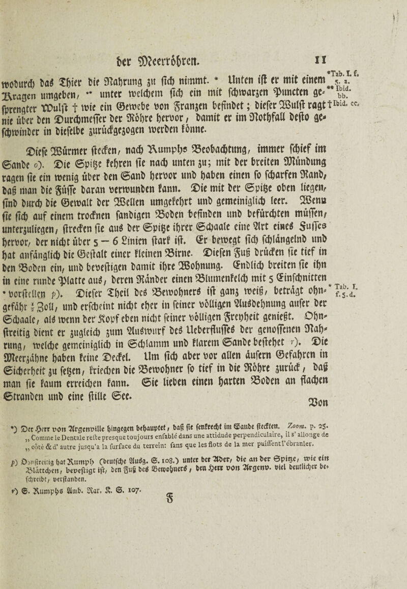 *Tab I f woburß 6a« Shier bie 9labrung 31t lief) nimmt. * Unten ifi er mit einem 5. >' 1 fragen umgeben, ** unter weißem fiß ein mit fßmarjen ^mieten ge« Z fprengter YDulft f wie ein ©ewebe non prangen beftnbet; biefer2ßulftraflttK’U- «. nie über ben ©urßmeffer ber 3?5hre hervor, bamit er im ülothfall befto ge« jßminber in biefelbe 3urüßge8ogen werben fönne. ®icfe ®ürmet fteefen, naß Äumph« «eobaßtung, immer fßief im ©anbe 0). Sie ©pik fetjren fie naß unten 3U; mit ber breiten STCünbung ragen fie ein wenig über ben ©anb hervor unb haben einen fo fßarfen SKanb, baü man bie Suffe baran verwunben lann. Sie mit ber ©pik oben liegen, Ünb burß bie ©ewalt ber SBellen umgefehrt unb gemeinigliß leer. 2ßena fie fiß auf einem troefnen fanbigen «oben beftnben unb befürßten müffen, unter3uliegen, firecten fte au« ber ©pik ihrer ©ßaale eine 2lrt eine« SufTcs hernor, ber nißt über 5-6 Sinien ftarf ifi. 5t bewegt fiß fßldngelnb unb hat anfängliß bie ©eftalt einer keinen «irne. ©iefen guß brütfen fte tief in ben «oben ein, unb beveftigen bamit ihre ®of)nung. ©nbliß breiten fie ihn in eine runbe glatte au«, beren Sänbet einen «lumenfelß mit 5 Gfinfßnittcn *porjicllen p). ©iefer Xheil bc« «ewoßner« ifi gans weiß, beträgt ohn* * £5b;d*- gtfähr i Soll, unb erfßeint nißt eher in feiner völligen 2lu«behnung aufer ber ©ßaale, al« wenn ber jtopf eben nißt feiner völligen grepheit genießt. Ohn» fircitig bient et 3ug(eiß sum 2lu«wurf be« UeberfiufTc« ber genoffenen 9iah* rung, weiße gemeinigliß in ©ßlamm unb flarem ©anbe beftehet 0» ©ie Sffleergdbnc haben feine ©ecfel. Um fiß aber vor aßen äufern ©efahren in ©ißerheit 3U fegen, frießen bie «ewohner fo tief in bie SKöhre 3urü<f, baß man fie faum erreißen fann. ©ie lieben einen harten «oben an flaßen ©tranben unb eine fülle ©ee. *) £)et j^ert t>on 2(rcjc»t>tUe hingegen behauptet / baf? fit fenftccfct int ©anbe jlecftett. Zoom. p. 25« ,, Comme ie Dentale reibe presque toujours enfable dans une attidude peipendiculaire, il s allonge de „ cote &d’ autre jusqu’a la furface du terrein: fans que les flots de la mer puiffentl’e'branier. f) Dsnfircmg f,«tx»mptj fbeutfe&e SI11S9. ®- untct bet ^töer, bie «» bet Spige, w«; efn 2Mäctd>ett, bepefligt »fr, ben guS be« SBeojo&netö, ben £ett ooit 2trgem>. btel beutlictjer be. fd)rcibt/ uei’lianben. 0 6- 8fmb. 3\ai% ft. <3. 107*