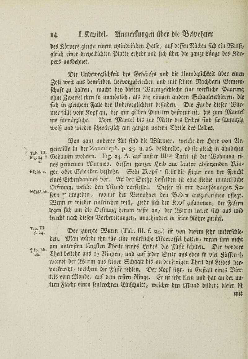 beS Äorpet'S gleicht einem cplinbrifcben £alfe, auf kffeniKtiefen fidj ein UBulft, gleich einer brepeefübten glatte ufcefct mit ftef) über bie gange £dnge beS Äör* perS auSbehnet. ®ie Unbewegliebfeit beS ©ebdufeS unb bie Unmöglicbfeit über eine» Soll weit aus bemfclben bervwtäufriecben unb mit feinen (Ttacbbarn ©einem* febaft gu halten, macht bep biefem Qßurmgefdflecbt eine wirflicbe 'Paarung ebne Sweifel eben fo unmöglich, als bep einigen anbern ©ebaalentbieren, bie lieb in gleidjem Salle ber Unbcwegliebfeit beflnben. ©ie Sarbe biefer 2Bür* mer fallt vom Äopf an, ber mit gelben fünften betreut ifl, bis jum DKantef ins febwdrjliebe. Vom Hantel bis jur Klette beS SeibeS (mb fie febmufctg, weil? unb wieber fibwärglicb am gangen untern Xbeile beS Seibes. » s Von gang anberer 5lrt (mb bie ÜBürmer , welche ber £err non 2lr< gennille in ber Zoomorph. p. 2S- u. 26. befdireibt, ob fle gleich in ähnlichen rigb’24-A ©ebdufen wohnen. Fig. 24. A. auf unfrer III'cn Safcl ifl bie dßebnung ei* neS gemeinen tOurmeo, öeffen ganger fieib aus lauter abfetgenben i\iii* *ibid. c. gen ober ©deuten befreit, ©ein i\opf * (feilt bie gigur non ber gruebt eines SidjenbaumeS oor. 2ln ber ©pifje beflelben ift eine flcine unmctfiidje Öffnung, »eiche ben tTJunb oorflellet. ©iefer ifi mit baarförmtgen Sa* *tIbldbl fern ** umgeben, womit ber (Bewohner ben (Bob-tr auSjufcrfcben pflegt. 2ßenn er wieber einfrieeben will, gieht (ich ber Äopf gufammen, bie gafem legen ficb um bie Oefnung herum oefle an, ber 2Burm leeret fleh aus unb frieebt nach biefen Vorbereitungen, ungchinbert in feine (Röhre äurücf. 7 f.'s™ ©er gwepte (Jßurm (Tab. HI. f. 24.) ift oon biefem fehr unferfebie* ben. (Plan würbe ihn für eine würflidie VTIccraffel halten, wenn ihm nicht ib bb am unterflen Idngflcn Sheite feines ßeibes bie Söffe fehlten, ©er oorbere 1 tu. Jheil befleht aus 17 trugen, unb auf (eher ©eite aus eben fb oiel Süffen f, womit ber 2Surm auS feiner ©ebaate bis an benienigen ?hdl beS ßeibeS her* octfrieebt, weichem bie Suffe fehlen, ©er Äopf (ißt, in ©eflait eines Vier» telS Pom ORonbe, auf bem erflen (Ringe. Sr ifl febr fiein nnb hat an ber un* ttrn gidtbe einen fenfredjten Sinfcbnitt, welcher ben fl] unb bilbetj biefer ifl mit