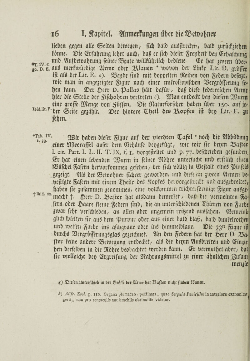 lieben gegen alle ©eiten bewegen, ficb ba!b au#fh'c<fen, ba!b jurüfjieben fönne. Die (Erfahrung lebrt auch, t>ag er ficb tiefer grepheit bei) ©rbafebung ^ f nnb Slufbewahrung feiner 35fute willfuhrlicb bebiene. (Er bnt jmten über» ja.' d. e. au# merfmürbige 2lnne ober XUauen * wovon bet' Sinfe Lit. D. gröjfer itf al# ber Lit. E. «). 23epbe flnb mit hoppelten iHeilnn von gebern befetjt, wie man in angejeigter gigur nach einer mifrofeepifeben XkrgröfTcrung fe« ben fann. Der perr d. Pallas f?d(t bafür, ba§ biefe feberreidjen 9lrme hier bie ©teile ber Stfcbobren vertreten t). 2Kan entbeeft bei) biefem 2Bunn eine groffe föienge von Söffen. Die iTtacurforfebcr haben über 150. auf je» uui.iit.F. &er @eite gejäblt. Der hintere Hbcil bes XVopfeo ift bet) Lit. F. ju feben. ; ’Tt?b',IV- ®ir haben biefer gigur auf ber tnerbten £afel * noeh bie Slbbiibmtg einer P7eera|fcl aufer bem ©eböufe bepgefügt, wie wir fie bepm 23aftet 1. eit. Part. I. L. II. T. IX. f. 1. vorgeftellet unb p. 77. befcbricbcn gefunben.j (Er hat einen lebenben 2Burm in feiner Sichre unterfuebt unb ertflicb einen SStifdjel gafern hervorfommen gefeben, ber ficb völlig in ©cfrait eines ^infcl# flejeigt. 211# ber 23ewobner fiirer gtwotben, unb biefe an jween 2lrmenbe- veftigte gafern mit einem Xhciie be# Hopfe# bctvorgefcrccft unb au#gcbreitet, t. haben fie jufammen genommen, eine vollfcmmcn trichterförmige gigur aitdge-j ribui. j $err D. 23a ft er hat a!#bann bemerfrr, ba§ bie vermeinten gai fern ober £>aare fieine gebern ftnb, bie an unterfehiebenen Xbieren von garbe jwar fehr verfdjieben, an allen aber ungemein reifsenb auOfahen. ©emeinis glich fpielten fie auSbem Purpur ober au# einer falb b!a§, baib bsmfefrotben unb wei'en gatbe in# afebgraue ober in# himmelblaue. Die 33t* gigur i|1 bureh# Dergrö)Terung#gla# gejeichnet. 2ln ben gebern hat ber perr D. 23a': fier feine anbere Bewegung entbeefet, al# bie bepm 9lu#breiten unb GFingie ben berfdben in bie Sichre beobachtet werben fann. (Er vermutbet aber, baf fte vielleicht bet) (Ergreifung ber 3lahrung#mittel 31t einer ähnlichen Sufam menjie 4) ©lefen Unfetfc^ieb in btt @rt5ffc bet 2Irme hat nid)t finben fJnncn. *) Adifc. Zool. p. ii<5. Organa plumaceo - pe&inata, quae Serpula Penicillus ia anteriore extremitat gerit, non pro tentaculis aut brachiis obtinuiiTe videtur.