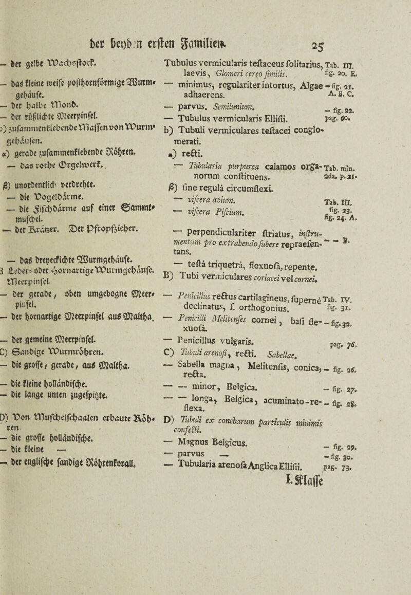 kr bco'o.n erden gamilie». - Der gelbe tüadjoßocF. - bae fleine weife pojtyornfornuge TButm* gebaufe. - Der halbe VTionD. - Der rufiliebte SÄccrpinfel. 3) $ufarnmenriebenbe tYJaffen uon YÜutm* gebaufen. «) geraDe &ufarmnenflebenbe ÜiO^rett. — Döö votbe 0rgeln?erü, jS) unorbentlicb »erDrebte. — Die T>ogelt>drme. — Die 5ifd)t>drme auf einet ©ammt' mufcbel. - Der Redner. Der Pfropßiebcr. — Da$ Drepecfi^te 2Burmgebaufe. 3 Hebet* ober kornartige'Wurmge&au(e* VOeerp infei. - Der geraDe, oben umgebogne Wittx* pinfel. - Der botnariige $}eerpinfel aus $2altba, - Der gemeine Sfteerptnfef. C) öanbige tOurmr$feren» - Die ßtoffe f geraDe , au* öflaltb«* - Die fleine boHanDifcbe. - Die lange unten iugefpigte* * » D) T>on VOufd>elfd?aalen erbaute &ob* rm - Die groffe boUanbifcbe« - Die fleine — -* *er englifcbe fanDige Üvobrenforaa, Tubulus vermicularis teftaceus folitarius, Tab. in. laevis ^ Glomeri cereo ßmilis. 20. E» minimus, regulariterintortus, Algae-%21. adhaerens. A* -B* C, — parvus. Semilunium, _ fi 2a — Tubulus vermicularis Ellifii. pag. 009 b) Tubuli vermiculares teftacei conglo* merati. *) re£H. — Tubuläria purpurea calamos orga-Tab. min. norum conftituens. ada.p.21. ß) fine regula circumflexi. — vife er a avium. Tab. XH„ — vifeera Pifcium. 23\ J % 24. A, perpendiculariter ftriatus, inftru- menium pro cx trab endo fubere rcpraeten~ “* *■ tans. teila triqueträ, flexuofa3 repente* B) Tubi vermiculares coriacei vel comei. — Pcnkillus reftus cartilagineus, fuperne Tab. iv. declmatus, f. orthogonius. 31. — Pemcilli Melitenfes cornei, bat] fle- - % 32 xuofa. s ~ Penicillus vulgaris. pag. f6o C) Tubuli arenofi, re£H. Sabellae. Sabella magna, Melitenfis, conica* - fig. rcciä« — — minor, Belgica. _ flg. 27, longa, Belgica, acuminato-re- _ ae »« fiexa. E‘ -*■ D) 7äWi ex concbarum partkulis minimis confetti. — Magnus Belgicus. _ % a>> — parvus _ , — TubulariaarenofaAnglicaElUfii. jag. 73. I. Stoffe