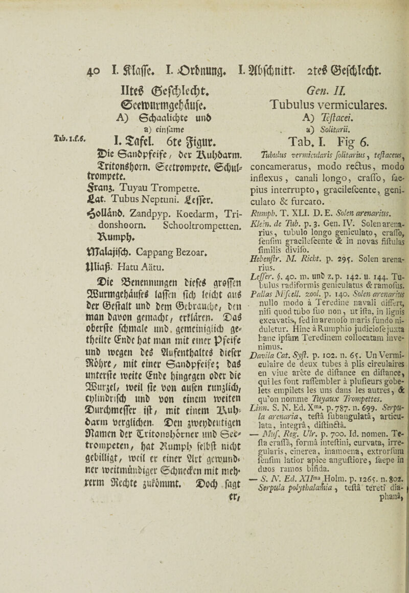 Ilteg <5cf<i;IccI)t. ©ceimnmgcffaife. A) Gcfcaalic^te mb a) einfame m, iu. j. 6te ©ie Ganbpfeife, ber X\ul;öarm. ?ritong()Oiu Geetrompete. @d)u(* trompete. Sran$, Tuyau Trompette. fiat Tubus Neptuni. ficffer. ^OÜanb. Zandpyp. Koedarm, Tri- donshoorn. Schooltrompetten. 3\umpljt tTTalajifcb. Cappang Bezoar* Ultaß. Hatu Aätu. ©ic Söenemwngen tiefet greifen 2Surmget)äiiffö (affen ffc& !?id;t <us$ ber ©effalt unb bftn ©ebrambe, bat man b«»on gemacht, crflüren. ©a$ oberffe fchntale unb. gemeiniglich ge« tfjeilte (?nbe hat man mit einer Pfeife unb wegen be$ 2lufenthaltc$ biefcr 9töhrc, mit einer Sanöpfeife; baS unterffe weite @nbe hingegen ober bie XBurjel, weil ffe toon fliifen runjlich, cplinbrifch unb oon einem weiten ©urchmefiet iff, mit einem IUil)- t>arm tierglichen. ©en swepbeutigen SRamcn ber Cvitonohorncr unb Seb* trompeten/ t)at 2Uimpl’ jeil-ft nicht gebilligt, weil er einer 2lrt gcmunb* r.er weitmünbiger ©chnccfen mit me!)1 rerm Sicdjte äufömmt. ©och fngt ft/ Gen. II. Tubulus vermiculares. A) Teftacei. a) Solitarii. Tab. I. Fig 6. Tubulus vermicularis folitarius, tefiaceus concameratus, modo re&us, modo inflexus, canali longo, craTo, fae- pius interrupto, gracilefcente, geni- culato & furcaco. Rumph. T. XLI. D. E. Solen arenarius. Klein, de Tub. p. 3. Gen. IV. Solen arena¬ rius, tubulo longo geniculato, craflo, fenfim gracilefcente & in novas Mulas fimilis divifo. Hebenjlr. M. Rieht, p. 29 f. Solen arena¬ rius. LeJJer. $. 40. m. unb z.p. 142. u. 144. Tu¬ bulus radiformis geniculatus &ramofus. Pallas Mifcell. zool. p. 140. Solen arenarius . nullo modo ä Teredine navali differt, nifi quodtubo fuo non, utifla, in lignis excavatis., fedin arenofo maris fundo ni- duletur. Hinc äRumphio judiciofejuxta hanc ipfam Teredinem collocatam inve- nimus. Davila Cat. Syfi. p. 102. n. 6?. Un Vermi- culaire de deux tubes a plis circulaires en viue arete de diftance en diftance, qui les font raflembler ä plufieurs gobe- lets empilets les uns dans les autres, & qu’on nomme Tayaux Trompettes. Linn. S. N. Ed. Xma. p. 787. n. 699. Serpu- la arenaria, teftä fubangulatä, articu- lata, integrä, diftindlä. — Muf. Res;. Ulr. p. 700. Id. nomen. Te¬ lia crafla, forma inteftini, curvata, irre- gularis, cinerea, inamoena, extrorfum ienfim latior apice anguftiore, faepe in duos ramos bifida. — S. N. Ed. A7/ma Holm. p. 126?. n. 802. Serpula polythalarhia , teftä tereti dia- | phanä)