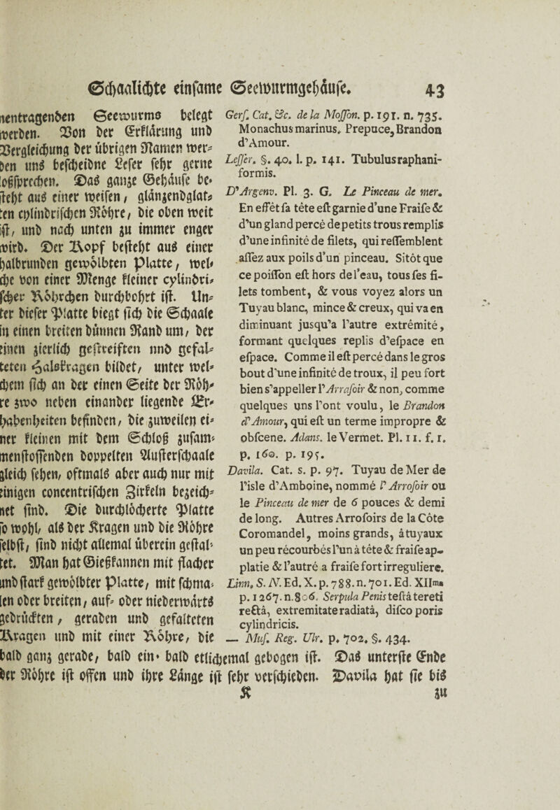 jentragenbcn Geewtsrmo belegt Ger/. Cat. &c, de k Mojpm. p. 191. n. 735. »erben. 23on ber (Erflärung unb Monachus marinus. Prepuce, Brandon Eergleicbung ber übrigen Sfamen wer* d’Amour. öen un$ befebeibne Sefer febr gerne ^#.^§. 40. l.p. 141. Tubulusrapham- Ofjfprccben. ©aü ganje ©ebäufe bc* Tefjt and einer weifen, glänjenbglat* :en cblinbtifcben 91obre, bie oben weit iff, unb nect) unten ju immer enger »irb. ©er l\opf befielt auö einer l)albrunben gewölbten platte, wel< cbe non einer SJlenge fleiner cyünbri» Über 5\6l>rcben burebbobrt ifl Un¬ ter biefer glatte biegt (leb bic ©ebaale in einen breiten bütmen SRanb um, ber finen jictlid) gefteeiften nnö gcfal* teten ^alsfragen bilbet, unter web tbem (leb an ber einen ©eite ber 9t6b' re jwo neben einanber liegenbe ££r* babcnf'citcn befaben, bie juweilen ei* ncr fleinen mit bem ©eblog jufanv menfaffenben hoppelten Slufarfcbaale jleicb üben, oftmals aber auch nur mit tinigen concentrifdjen girtcln belieb* «et ftnb. ®ie burcblöcberte glatte 10 wobb al$ ber fragen unb bie Ütbbre ielbft, fmb nicht allemal überein gefal¬ tet. 9Jlan bat ©iegfannen mit facber formis. D'Argenv. PI. 3. G* Le Pinceau de mer. En eff et fa tete efl gar nie d’une Fraife & (Tun gland perce depetits trous remplis d’une infinite de filets, qui reflemblent allez aux poils d’un pinceau. Sitot que cepoifTon efl hors defieau, tousfes fi¬ lets tombent, & vous voyez alors un Tuyaublanc* mince&creux, quivaen diminuant jusqu’a Fautre extremite, formant quelques replis d’efpace en efpace. Commeileftperce danslegros bout d'une infinite de troux, il peu fort bien s^appeller VArrafoir & non, comme quelques uns Font voulu, le Brandon cVAmour, qui efl un terme impropre & obfeene. Adans, le Vermet. PI. 11. f. r. p. 160. p. 19^. Davila. Cat. s. p. 97. Tuyau de Mer de Fisle d’Amboine, nomme P Arrofoir ou le Pinceau de mer de 6 pouces & demi de long. Autres Arrofoirs de la Cote Coromandel, moins grands, atuyaux un peu recourbes Fun ä tete & fraife ap- platie &l’autre a fraife fort irreguliere. unb darf gekolbter platte, mitfiftma* £iw?,s.Ar.Ed.x.p.788.n.7oi.Ed.xiim« [en ober breiten, auf* ober nieberwärt« p. SerpdaPtnuteftitereti jrttMnn, «tat» m «faltnm ÄrTS“”“ *> Rvagen unb mit einer 2\obre, bie _ mf. Reg. uw. p, 702. §. 434. balb ganj gerabe, halb ein* balb etlfaemal gebogen i(t. ©aö unterfle ©nbe ber 9Jöbre ijl ofen unb ihre Sänge ift febr verfebieben- 3Dat>ila bat fte bis Ä jw