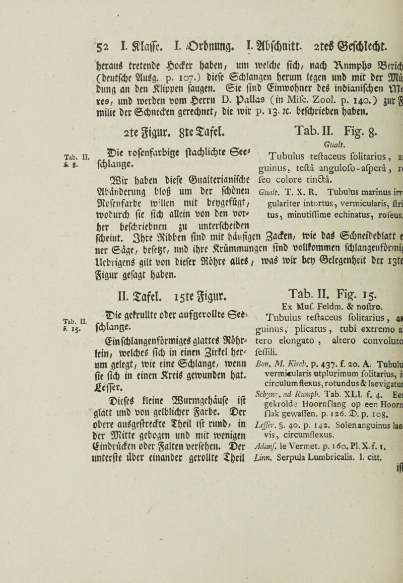 4 52 I. klaffe. I. £)rbnung. 1.2fbf<f>nitt. 2te§ ©ef<I)Ie<&t. • f>erand tretende -g^oefet haben, um welche (ich, nach Utimpha 25erid) (beutfdje 2lu$g. p. 107.) biefe Schlangen herum (egen unb mit ber 9!Jlü bung an ben Klippen faugen. Sie fmb ©inwohner be$ inöianifchen ViTe «0, unb werben Pom £>errn D. paUao (in Mifc. Zool. p. 140.) jurg milie ber Schnccten gerechnet, bie wir p. 13- x. bcfchrieben haben. 2te gigur. 8t« Safel. Tab. II. Fig-. 8- Gualt. Tab. 11. _,p‘e rofenfarbige flachlichte See- Tubulus teftaceus folitarius, ai f.«. fchlange. guinus, teftä angulofo-alperä, ri Tßir haben biefe ©ualterianifche feo colore tincV.i. 2lb4liberung bloß um ber febbnen Gualt. T. X. R. Tubulus marinus im 9Iefenfarbe Willen mit bepgefügt, gulariter intortus, vermicularis, flri WOturch fie fich allein Pon ben POt* tus, minutiffime echinatus, rofeus. her befchriebnen ju unterfcheiben fcheint. 3hre Stibben finb mit häufigen Sacfen, wie ba« Schneibeblatt e ner Säge, befefct, nnb ihre Krümmungen finb pcllfommen fehlangenfbrrnij Uebrigen« gilt pon biefer Sichre alle«, wa« wir bet? ©elegenheit ber i3tc gigur gefagt haben. II. £afel. 15t« gigur. 25ie gefrullte ober aufgeroUte See-- f. 15. fchlange. ©infchlangenfbrmige« glattes 9töhr* lein, welches (ich in einen Sirfel her» um gelegt, wie eine Schlange, wenn fie (ich in einen Kreis gewunben hat* Jßcfler. ®icfe« deine 2ßurmgehäufe ifi glatt unb Pon gelblicher garbe. ®er obere aubgefireefte ?heil ifi runb, in ber OTitte gebogen unb mit wenigen öinbtücfen ober galten perfehen. ®er unterfie über einanber gerollte Xheil Tab. II. Fig. 15. Ex Muf. Feldm. & noftro. Tubulus teftaceus folitarius, a* guinus, plicatus , tubi extremo ai tero elongato , altero convoluto feftili. Bon, M. Kirch. p. 437. f. 20. A. Tubulu vermkularis utplurimum folitarius, ii circulum flexus, rotundus & laevigatus Schynv.ad Rumpb. Tab. XLl. f. 4. Eei gekrolde Hoornflang op een Hoorn flak gewaffen. p. 126. SD. p. 108, Leffer. §. 40. p. 142. Solenanguinus lae. vis, circumflexus. Adanf, le Vermet. p. 16o> PI. X.f. 1, Unn. Serpula Lumbricalis. 1. citt. ifi