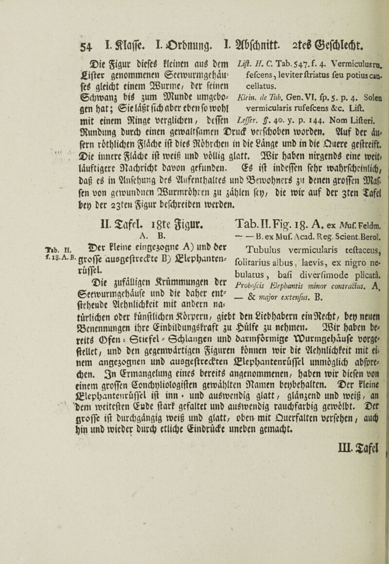 5+ I. Sflafie. I. sOrbnung. I. 2tbfd)nitt. 2tei ©efibletöt. ©fe gigut bieft« fteintn aui bem Lift.H.C. Tab. S47. f. 4. Vermiculusro. SLiftev genommenen ©eeWurmgebdw fefcens,leviterftriatusfeupotiuscan- fe« gleicht einem SOßurme, ber feinen ceiiatus. ©cbwanj bi« $um ÜJlunbe umgebo-- Kinn, de m. Gen. VT. fp.5. p. 4. Solen gen l)ar; @ie lägt lieb ober eben fc vre 1)1 vermicuiaris rufefeens &c. Lift, mit einem SRinge werglieben/ befien Lejjtr. §. 40. y. p. 144. Nom Liften. SKunbung bureb einen gewaltfomen ®rucf werfeboben worben. Stuf ber du* fern rötlichen gldcbe iff bie« SKöbrcben in bie Sänge unb in bie Quere geffreift. S>ie innere gidebe ifi roeifi unb wollig glatt. 2ßir hoben nirgenb« eine weit« Iduftigerc 9Tacbri<bt bawon gefunben. ff« ifi inbeffen fef>r wabrfcbcinlicb, bag e« in Slnfebung br« Slufembalfe« unb SSemobner« ju benen groffen 'Dlaf i fen von gewunbnen üBurmröbren ju jdljlcn fei)/ bie mir auf ber 3ten Safel beb ber 23ten gigur befebreiben werben. II. £afd. 18te 34iur* Tab. IT. Fig. 18. A, ex Mur. Feidm. A. B. -B.ex Muf. Acad. Reg. Scient.Berol. T»b. ii. ©er fleine eingejogne A) unb ber Tubulus vermicuiaris teftaceus, i is a.b. greife auegeftreef te B) 2fkpl>.ntcri- (blitarius albus, laevis, ex nigro ne- püfjel. _ bulatus, bafi diverfimode plicata. ®ie jufdüigen Krümmungen ber ProboJ'cis Elepharttis minor contraäus. A ©eewurmgebdufe unb bie baber ent- _ & or extenfuSt B (iebenbe Slcbnlicbfcit mit anbern na* türlieben ober fünfflieben Körpern, giebt ben Siebbobern einfKeebt, bei) neuen SJenennungen ihre ffinbilbungofraft ju pfeife ju nehmen. 2ßir hoben be* reit« (Dfen < Stiefel * Schleusen unb baunförmige VDurmgel)äufe worfle* ftellet, unb ben gegenwärtigen giguren fönnen wir bie 9iebnli<bfeit mit ei¬ nem angejognen unb ausgeftreeften fElepbantenrüfffel unmöglicb abfore- eben. 3« ffrmangelung eine« bereit« angenommenen, haben wir bitfen non einem groffen ffoncbuliologiffen gewählten 9tamen bepbehalten. ©er fleine Jglephantenruffel iff inn • unb au«wcnbig glatt, glänjenb unb weiß, an lern weiteften ffube ffarf gefaltet unb au«wenbig rauebfarbig gewölbt, ©er groflfe iff burebgdngig weig unb glatt, oben mit Querfalten werfeben, auch hin unb mieber bureb etliche ff inbrüefe uneben gemacht. IH.$afel ■