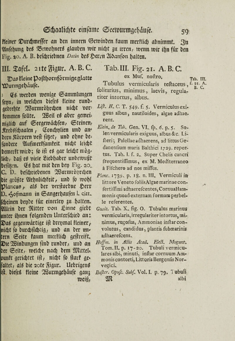 f 0djaaltd)te einjäine ©eeiDitrmgeliäüfe. 59 Reiner Surdjmeffer an ben innern ©eminben. faunt merflidj ab nimmt. 3» 2tnfel)ung iti 93mohner$ glauben mir nid;t 31t irren, menn mir tt)n für Öen Fig. 90. A. B. befebriebnen Datin b.t$ §errn 2töanfon galten. HI. Safcl. 2itegtgur. A.B.C. 5Das Kleine pafttmtnfonmge. glatte iPOurmgebaufe. s <H merlen menige «Sammlungen fetjti/ in melden biefe« Reine runb* gebrebte SSurmröbrcben ntdjt vor1 Kommen Tollte. 2Beil cS aber gemeü niglid) auf ©eegemäcbTen/ ©feinen/ Äreböfebaalen , Soncfmlitn unb am bern Körpern veft fi§et, unb ebne be» fonbere 5lufmertfamfeit nidjt leicht bemerftmirb; To ifl t& gar leicht mög= lieh/ ba§ eä viele Liebhaber unbcmujjt heilen, ©d hat mit ben bei; Fig. 20, C. D.. beTcbriebenen 2Butmr6i;rcben bie grölte 2febnlichfeit / unb fo mohl piancuo/. ald ber oertforbne £>err D. , ^ofmann in ©angerhaufen L QLJttfc feinen bebbe füc einerlei ju feaitetK Allein ber Sitter von Üinnc siebt unter if)nen folsenben Unterfchieb an: ©a$ sesenmdrtise ift bretjmal fleiner, nicht fo burchtlctKiö/ unb an ber un* fern ©eite faum merfliefe gereift, ©te 2Binbun$en finb runber,. unb an Der ©eite, weiche nach bem SJtittek punft senktet ijl, nicht fo dar? sc* faltet, aW bie 2ote gisur, UebrisenS ift. biefe* fl eine 2Surm&ehdufe sana weig, Tab.III. Fig. 21. A. B.C. ex Muf. noftro* Tab IIT Tubulus vermicularis teftaceus,f-^I CA* folitarius, minimus, laevis, regulär riter intortus, albus. Lift. H. C. T. 549. f. 5. Vermiculus ext* guus albus, nautiloides, algae adhae- rens. Klein.,de Tub.. Gen. VL, fp9 <5. p. 5. So», len vermicularis exiguus, albus&c. Li- fleri ^ Palellaeadhaerens, ad littusGe- danenfium maris Balthici 1729. reper- tus. Tab. 1. f. 2.„ Super Chelis cancri: frequentiflimus, ex M. Mediterraneo ä Fifchero ad nos milfus. Plane. 1739.. p- iS- n. III. Vermiculi in littore Veneto foliis Algae marinae con« fertiflimi adhaerefeentes, CornuaHam* monis quoad externam formara perbel¬ le referentes. Gufllti. Tab. X. fig. O. Tubulus marinus vermicularis, irregulariter intortus, mi- uimus, rugofus, Ammoniae inftarcon- volutus, candidus, plante fubmarinis adhaerefeens.. Hoffm. in Aftis Acad. EleSi. Mogunt. Tom.II. p. 17-20. Tubuli vermicu- lares albi, minuti, inftar comuum Am* monis contorti, Littoris Bergenfis Nor- vegici.. Baftcr. Opuft. Subft Vol. I. p. 79» 7 ubula 331 albi