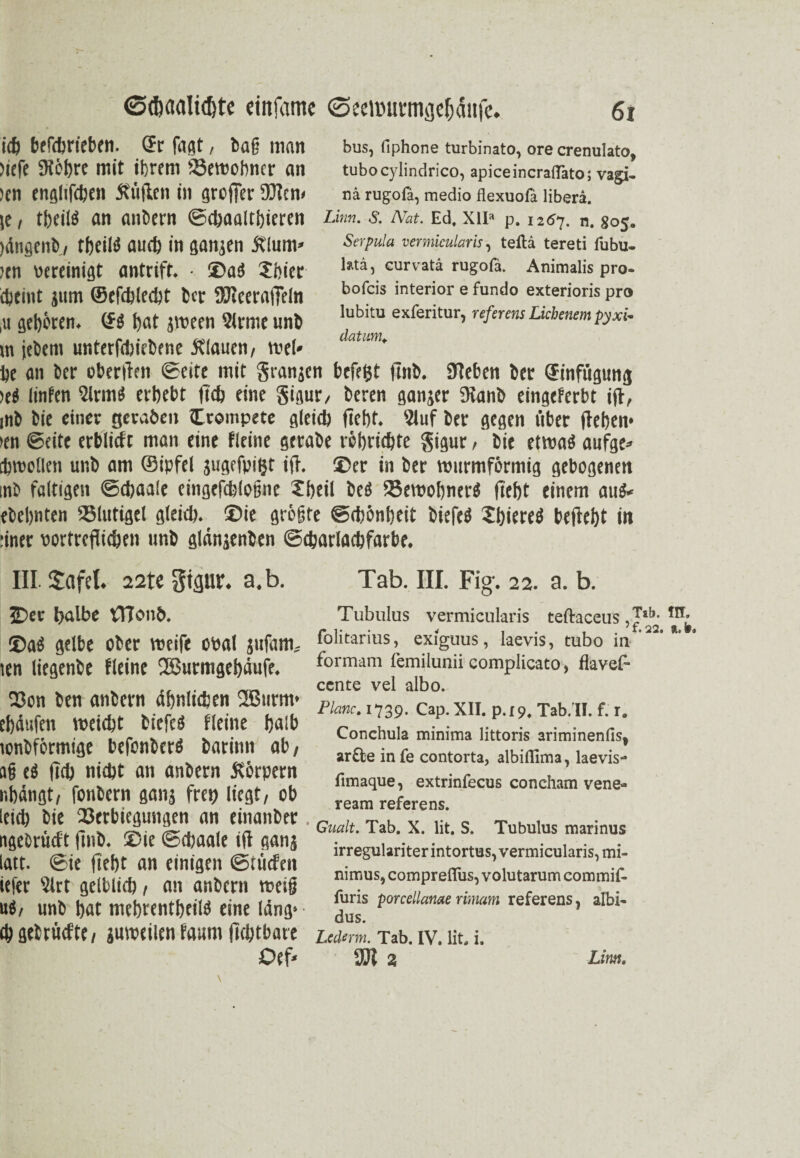 id) befdbrieben. GFr fagt, bag man bus, fiphone turbinato, ore crenulato, )l£fe 9iÖf)rC mit tbrcm iöcmobncr an tubocylindrico, apiceincrafläto; vagi- )en engllWcn füllen in greffer $}cn< na rugofa, medio flexuofa liberä. ie i tbeilö an äußern ©cßaaltßieren Lim. s. Mt. Ed. xu» p. 1207. n. 805. jdiiycnt), tßeilS amt in ganzen Älum» )tn «ereinigt antriff. • S)aS Xßier äjtint jum ®efd)led)t ßer Sftceraftcln ,«geboren. (SS bat jween 2(rme unb in jeßent unterfdjießene flauen/ wel» be an ßer oberlten ©eite mit granjen befeijt finß. Sieben ßer (Einfügung >e$ linfcn 51rmS erbebt ftd> eine gigur/ ßeren ganjer 9ianß eingeferbt i(f, inß ßie einer gevaben Crompete gleid) ließt. 9luf ßer gegen über ließen* >en ©eite erblicft man eine fleine geraße rößridjte gigur, ßie etwas aufge» cßwellen unß am ®ipfel jugefpigt ifl. ®cr in ßer wurmförmig gebogenen inß faltigen ©ebaale eingefcßloßne Xßeil ßeS 25ewoßnerS fiebt einem au$* eßebnten SSlutigel gleid). ®ie größte ©tßönßeit ßiefeS XßiereS beliebt in :iner Portreflitfcen unß glänjenßcn ©djarlacbfarbe. Serpula vermicularis, tefla tereti fubu- htä, curvatä rugofa. Animalis pro- bofeis interior e fundo exterioris pro lubitu exferitur, referens Eichenem pyxi* datum. III Safel. 22te gigur. a.b. ©er t?albe tTIcme>. ©a$ gelbe ober roeife ot>at $ufam* ten liegenbe fleine 28urmgebdufe, Von ben anbern ähnlichen 2Burm* ef)dufen n>eid)t biefeä fleine I)a!b tonbformige befonberä Darin« ab, ag e$ m nidjt nn anbern Körpern nbangt, fonbern gan^ frtt) liegt, ob leid) bie Verbiegungen an einanber ngebrüdt ftnD« ®ie ©djaale ifl gan$ latt. ©ie fiebt an einigen ©tuefen iefer Sirt gelblid), an anbern meig u$, unb bat mebrentbeitö eine Idng* d) getruefte, steilen faum flcbtbare £>cf- Tab. III. Fig*. 22. a. b. Tubulus vermicularis teftaceus, folitarius, exiguus, laevis, tubo in ’ * formam femilunii complicato, flavef- ccnte vel albo. Plane. 1739. Cap. XII. p.19. Tab. II. f. ra Conchula minima littoris ariminenfis, ar£be in fe contorta, albiffima, laevis- fimaque, extrinfecus concham vene- ream referens. Gualt. Tab. X. lit. S. Tubulus marinus irregulariter intortus, vermicularis, mi- nimus, comprefliis, volutarum commif- furis porcellanae rimam referens, albi- dus. Lcderm. Tab. IV. lit, i. an a Lim.