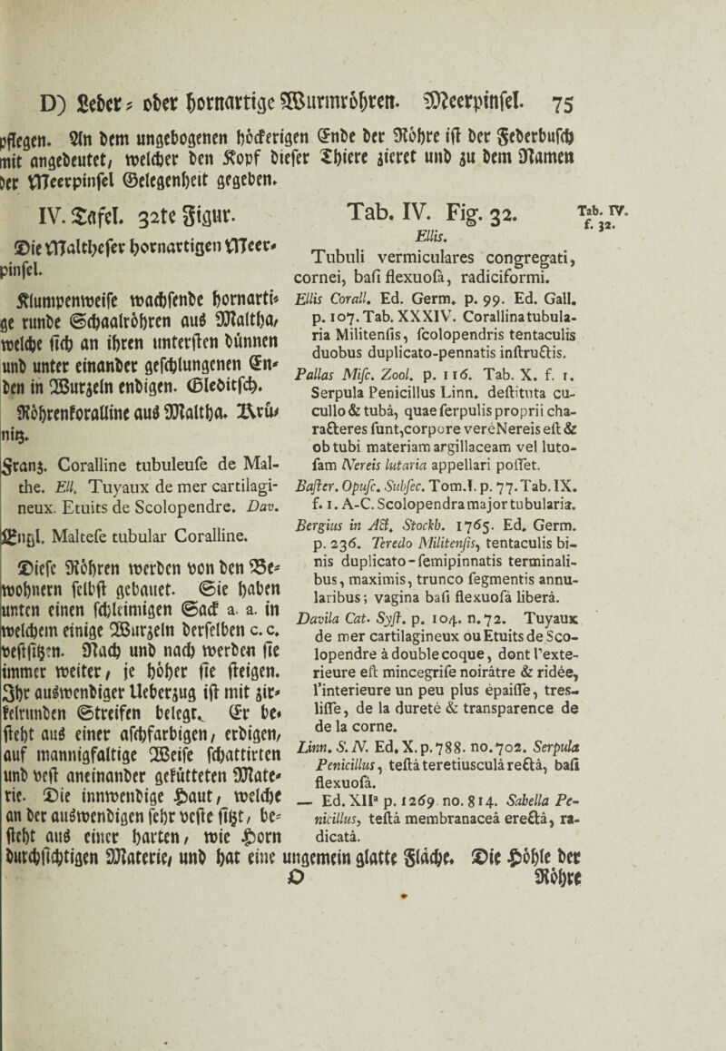 pflegen. 2ln bent ungebogenen böderigen <fnbe bet SKöftre ift bet $cberbuk mit angebeutet, weker ben Stopf biefer £l)iere gieret unb ju bem tarnen 5er WTeetpinfel ©elegenfjcit gegeben. Tab. IV. Fig. 32. Ellis. Tubuli vermiculares congregati, cornei, bafi flexuofa, radiciformi. Ellis Cor all. Ed. Germ* p. 99. Ed. Gail, p. 107. Tab. XXXIV. Corallinatubula- ria Militenfis, fcolopendris tentaculis duobus duplicato-pennatis inftru£Tis. Pallas Mifc. Zoo/, p. 11 <5. Tab. X. f. r. Serpula Penicillus Linn* deftitnta cu- cullo&tubä, quaeferpulisproprii cha- ra&eres funt,corpore vereNereis eit & obtubi materiamargillaceam vel luto- fam Nereis lutaria appellari polTet. the. Eli Tuyaux de mer cartilagi- Bafter. Opufc. Subfec. Tom.T. p. 77.Tab. IX. IV.Safel. 32te Sigur. ®ie flTalttyefev bornartigen VITcer. pinfel. Stlumpcnweife waebfenbe bornarti* ge rttnbe ©ebaalrbbten au$ 9Haltba, welche ftcb an ihren unterfien btinnen unb unter einanber geklungenen (Sn* ben in QBurjeln enbigen. (Blebitfcb. SRöbrenforalline au<5 SJtaltba. l\rü< mg. i^ranj. Coralline tubuleufe de Mal- Tab, f. 3 neux. Etuits de Scolopendre. Dm ä£ngl. Maltefe tubulär Coralline. ®iefe SRöbren werben pon ben 25c* wobnern fclbft gebauet. @ie b«ben unten einen klcimigen ©ad a. a. in welchem einige Ußurjeln berfelben c. c. peftfiljm. 9tacb unb naeb werben fie immer weiter, je böber fie fteigen. 3br auiwenbiger Ueberjug ift mit jit* felrunben Streifen belegt^ (fr be« f. 1. A-C. Scolopendramajortubularia. Bergius in Att. Stockh. 1765. Ed* Germ, p. 236. Teredo Militenfis, tentaculis bi- nis duplicato-femipinnatis terminali- bus, maximis, trunco fegmentis annu- laribus; vagina bafi flexuofa liberä. Davila Cat. Sy ft. p. 104. n.72. Tuyaux de mer cartilagineux ou Etuits de Sco¬ lopendre ä double coque, dontPexte- rieure eit mineegrife noirätre & ridee, l’interieure un peu plus epaifle, tres- lifle, de la durete & transparence de de la corne. fiebt auö einer afebfarbigen, erbigen, r „T , auf mannigfaltige 2ßeife karrten unb peft anemanber gefutteten fUTate- flexuof;i 1 ’ ric. ®ie innwenbige £>aut, wekc _ Ed. xii-p.is«? no.su. SabeUa Pc- an ber an^wenbigen febr PCfie ftijt, be-' «kiUus, tefta membranaceä ereftä, ra- ftebt auä einer barten, wie £orn dicata. burcbjtcbtigen äJlaterie/ unb bat eine ungemein glatte §!4<be. ®ie £6b(e ber O SRÖbW