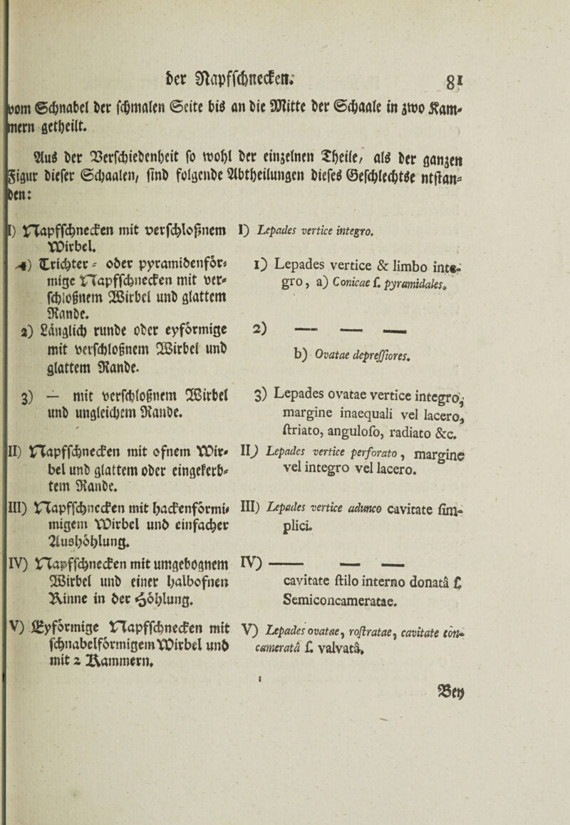 pom @<&nabel kr fcOmaten ©eite bi$ an Die Sölitte ber ©(&aale in jwo Jbam* mern geteilt. 2lu$ ber 23erfct)iebcnf)eit fo wol)( Der einzelnen Sfyeiie/ als Der gatijen gigur Dicfer ©ebaaten, ftnD folgenbe Slbtfjeiluiigeti Diefeö ©ef<bled)t$e ntftan« kn: I) £Tapffct)necfen mit verfc^lopnem VDivbel. 4) Cricbtet - ober pytramibenfor* tnige t-Tapffcbnecfen mit wt< fdjiognem dßirbel unb glattem ütanbe. a) Sdnglid) runbe ober eyformige mit wvfii)lo§nem 23irbei unb glattem 9ianbe. 3) — mit yerfdjlofmem UBirbel unb ungleichem üianöe. s / II) tTtapffc&necEen mit ofnem YDit> bei unb pattem o&cr einsefet^ tem SKanbe* III) HTTapffc^nccfen mit Ijacfenformw migcm VDirbel unb einfacher ^usbbblung, IV) ÜfCapffc^necfen mit umgefcognem ©irbet unb einer balbofnen Uinne in ber «äbblung* V) öJyformtge lTJapffcbnecfen mit fc&nabelformigem Wirbel unb mit z Kammern* I) Lepades vertice integro, O Lepades vertice & limbo intt» gro, a) Conicae f. pyramidales 9 b) Ovatae depreffiores. 3) Lepades ovatae vertice integro^ margine inaequali vel lacero., ftriato, angulofo, radiato &c* II) Lepades vertice perforato, margine vel integro vel lacero. III) Lepades vertice adunco cavitate fini~ plicL m —. — — cavitate ftilo interno donatä £ Semiconcameratae. V) Lepades ovatae, roftratae? cavitate tön* cameratä £ valvata* 95et> 9