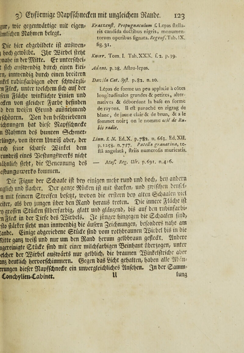 gar, wie gegenwärtige mit eigene ömficfjcn «Rotmicn belegt. j)ic hier abgebiibete i|t außWen» I ()oc() geWoibt. 3br 2Bitbel frebt »nabe in bet stifte. ©t unterfebei* t fiel) außWenbig burd). einen Flei* m, innwenbig burd) einen breitem nfcl rubinfarbigen ober fdjjtodrsli* :n Sied, unter welchem (td) auf ber fern 3Tdd)c winFlidjte Sinien unb i’cfen von glcidjer färbe beßnben b ben weilen ©runb außnebmenb rfd)6ncrn. 'Seit beti bcfdjriebencn td)nungen bat biefe Sftapffebnede n Sfiabmen beß bunten ©cbmer* ding?, bon ihrem Umriß aber, ber ird) feint fdjarfe 2BinFcl bem runbriß eineß QScfhurgßWerFß nid)t idbnlid) fleht, bie ^Benennung beß ejtungowetf e fotmnen. Kratzen}}. Pyopugnaculum C Lepas (Iclla- ris candida dudübus nigris, menumen- torum operibus fignata. Rcg€?if,Td\o. !X. fig.31* Knorr. Tom. I. Tab.XXX. f. 2. p.39» Adans. p. ag. Aftro-Iepas. ' t» Dazila Cat. Syß. p. 82. n. 20. Ldpas de forme un peu applaiie hcotes longitudinales gr2ndes & petites, alter¬ natives & d£bordant la bafe en forme de rayons. II eft panache en zigzag de blanc, de jatme clair & de brun, & a le fommet noir; on le nomme oeil de Ru* bis radie. Lin». S. N, Ed.X. p.782. n. 663. Ed.XII. p. i2?8. 11.7*7. Patella granatina, te- Ilä angulatä, ftriis numerofis muricatis. ♦ / — Mufi Reg. Ulr. p.691. 0.416. ©ic ^igut ber 0d)aafe ift bet) einigen niefyr runb tmb bod), bei) cinbcrn igtid) unb flacher, ©er ganjc Stufen ift mit ftarferi/ unb $tvifd)cn h'\\[cU n mit feinem Streifen befetjt, wopon bie entern bei) alten ©djaaicn mcl litcn alß bei) jungen über ben Oianb berauß treten, ©ic innere flache tu t) greffen Stüden fitberfarbig, glatt unb gldnscnb, biß auf ben rubinfarbi# nfied in bet tiefe beß 2Sirbelß. 3c jünger hingegen bie Schaden fmb, fto ftdrfer ßebt man innwenbig bie dufern geiebnungen, befönberß nabe am anbe. Einige abgericbcnc ©tüde finb 00m rotbbraunen asirbcl biß in bie litte gans Weiß unb nur um ben SRanb herum gelbbraun geßccft. Sintere igcreinigtc Stüde finb mit einer milchfarbigen fBeinbaut überzogen, unter rfebet ber ISirbcl oußwdrtß nur gelblich, bie braunen Sßinfelftridw aber ins beutlid) betborfc&immern. ©egen baß Sid)t gehalten/ haben alle Slban* rungen biefer Stapffcbnede ein unbcrgleid)lid)eß Slnfcbcn. 3n ber Somm* ConchyliewCabinet. M ,un9