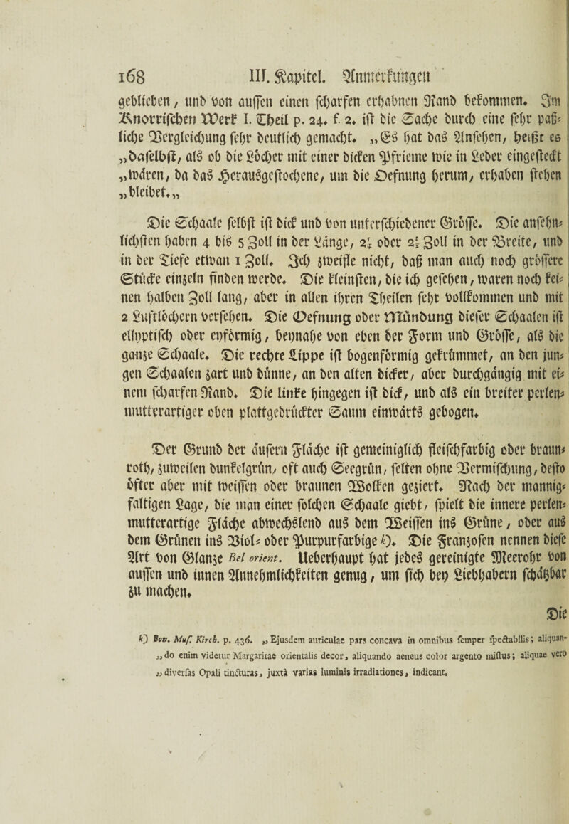 geblieben / ttnb von ouffcit einen fdjatfett erhabnen 3ianb beFommen. 3m Änorrifcben Wert I. Ojeü p. 24. f. 2. ift bic Sache fcureb eine fetje paß« liehe Vergleichung fchr bcutlich gemacht. ,,£•'» hat bas> Slnfeljen, heißt es „hafelbfi, alb ob bie Södfer mit einer biefen Pfrieme toie in Seher eingefteeft „todren, ba bas Jjjcrauisgcftodxne, um bie ©efnung herum/ erhaben (leben „bleibet.,, ©ie Schaalc fclbft tfl bic. unb bon unterfchiebener ©reffe. ©ie anfebn« lichftcn haben 4 biß 5 Soll in ber Sänge, si ober 21 Soll in bet Vreite, unb in ber ©iefe ettoan 1 Soll. Sei) äweifle nicht, baß man auch noch gröfferc StücFe einzeln ftnben werbe. ©ie Flcinftcn, bie ich gefchen, waren noch fei«; nen halben Soll lang, aber in allen ihren -©heilen febe botlFommen unb mit 2 Suftlbchcrn berfehen. ©ie cDefmmg ober tTTfmöumg biefer Schaalen ift ellpptifcl) ober epförmig, bepnahe bon eben ber $orm unb ©rbtTe, aß bic gau$e Scfaale. ©ie rechte Sippe ift bogenförmig gcFtünnnet, an ben jun« gen Schaalen jart unb bimne, an ben alten biefer, aber burchgangig mit ei« nein fcharfen 3ianb. ©ie littife hingegen ift bief, unb aß ein breiter perlen« mutterartiger oben plattgcbrficfter Saum einwärts gebogen. ©er ©runb ber äufent Jläd)c ift gemeiniglich fleifchfarbig ober braun« roth, juweilen bunfcfgrfm, oft auch Seegrfm, feiten ohne Vcrmifdjimg, befto öfter aber mit wciifen ober braunen SfSolFen gejiert. 3tad) bet mannig« faltigen Sage, bie man einer foldjcn Schaalc giebt, fpiclt bie innere perlen« mutterartige g-ldd)e abtocdßlenb atß bem ISeiifen in» ©rüne, ober au» bem ©rünen ins 33iol« ober purpurfarbige Q. ©ie gransofen nennen biefc 2lrt bon ©lanje Bel orient. llebcrhaupt hat jebc6 gereinigte Pteerohr bon nuffen unb innen 2lunebm(ichfcitcn genug, um (ich bep Siebhubern fc&dijbac SU machen. ©ie *Ü Be». Muf, Kirch. p. 436. „Ejusdem auriculac pars concava in omnibus femper fpeclabllis; aliquan- ,jdo enitn videtur Margaritae orientalis decor, aliquando aeneus color argento miftus; aiiquae vero a> diverfas Opali tintturas, juxtä varias luminis irradiaüoncs, indicant.