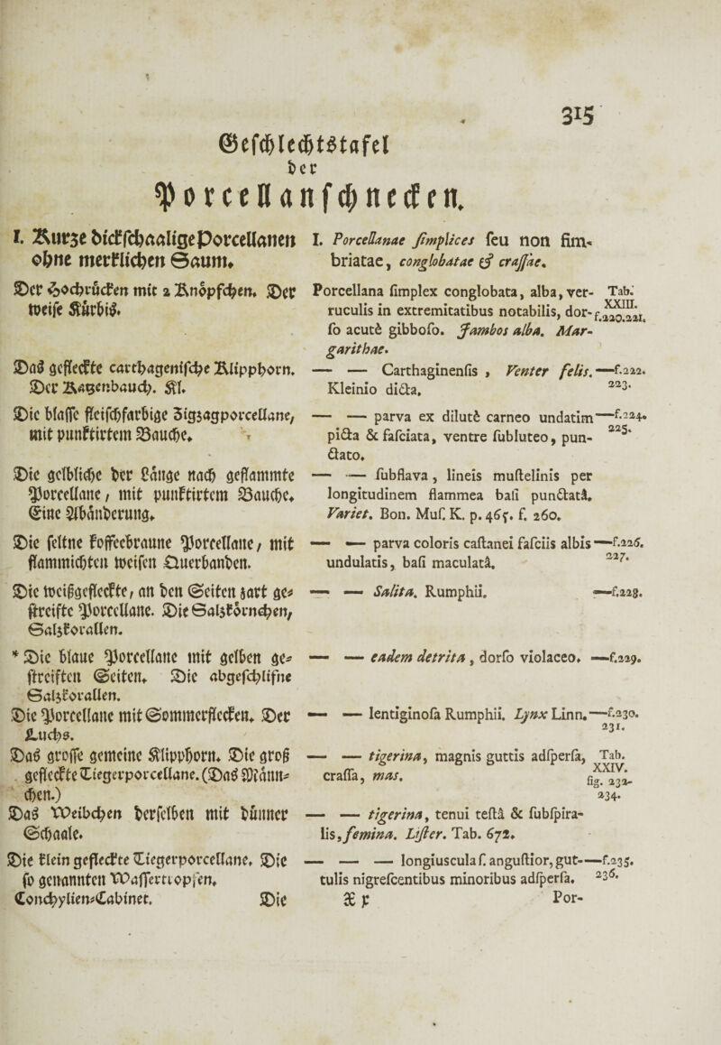 @ef#Iedjt$tafel bcr sporcenanfcfrnccfen. I. Kurse btdffd)ft<5lige Pomllaneu I. Porceüanae ßmptices feil tion filTl-* ebne merFltcfeen Saum, briatae, conglobatae crajj'ae, ©Cf <5>odH’ud?en mit 2 Änopfcbem ®CP Porcellana fimplex conglobata, alba,ver- Tab. tt>eife SÜrbtö* ruculis in extremitatibus notabilis, dor-fi™^It fo acut£ gibbofo. Jambos alba. Mar- garitbae. ©Ö0 geflecEte cavtbacjerrifcfye ÄiippbOtm* — — Carthaginenfis , Venter felis. — f.aaa. ©er Ä^enbaud;. Kleinio dida. 223‘ ®ic blaffe ffeifebfarbige 3ig$agp0VceUatte, — — parva ex dilutfc carneo undatim—f*224* mit punfdrtcm 33aU(bC* r pida &fafciata, ventre fubluteo, pun- a2^‘ dato. ®ie gelbliche ber Caltge ttaeß geflammte — — fubflava, lineis muftelinis per 5)0rcellane / mit puuftirtem 23aucbe> longitudinem flammea ball pundatä. Qtine Stbanberun^ Variet. Bon. MuC K. p. 46?. f. 260. ®ie fettttC Foffecbrauite 55orcellaite / mit “ — parva coloris caftanei fafeiis albis — flammicbteii meifen Ouerbanben. undulatis, bafi maculatä. a27, ©ie mcifecflocftc/ an beit ©eitert $art ge* — — Salita. Rumphii. —fam. ftreifte ^orceUaitc. ©ie öa^oi-nd?ett, ©aferoiallen. * ©ie blaue ^JorceKaite mit gelben ge* — — eadem detrita, dorfo violaceo. — f.229. ftreifteit ©eitern ©ie abgefddifne ©aljrovaüen. ©ie ^orcellane mit ©ommerflecfetU ©er — — lentiginofa Rumphii. Lynx Linn.—^230. JLud;>s. 23 r* ©a£ groffe gemeine $tippl)Ortt*. ©ie groß — — tigerina, magnis guttis adfperfö, Tab. gcfUccfte ©tegevporcellune. (©a£ 20?anit* crafla, was. cben.) *»34* ©aS VPeibcfyert bcrfclbett mit bÜllttCP — — tigerina, tenui teflä & fubfpira- ©(baute* listfemina. Lißer. Tab. 672. ©ie tkin gefleckte vLtegerporcellane, ©);c — — —longiu$culananguftior,gut—f.235. ftf genannten t^affernopfen* tulis nigrefeentibus minoribus adfperfa. 2l6t <Lond?yliemCabmet. ©ie 36 p Por-