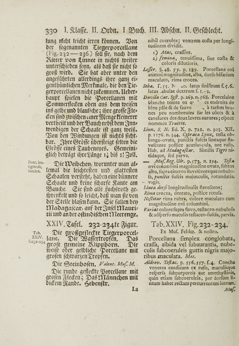 $ 330 I. Sfclajfe. II. Orb«. I SMtd). III. Qlhfchn. II. @efcf)tcd)t. lurtg nicht (cid)t irren fbntien. 23on bei* fogenannten Ciegerporcellane (Fig.232—236.) folifie, nach bem 3litter von Hinnee in nichts tueitec unferfchtcben fepn, als bag fic nid)t fo grog tritb. Sie gat aber unter ben angeführten atlerbingS ihre gans ei« genthumlichenüllerfmalc, bie benote-- gcrporceüanen nid)t juf omnien. lieber« haupt fpiclen bie 'Porccliaiten mit @otmncrflecfen oben aus bem ireifcn inS gelbe unb bfauh'che: ihre groffejle« den finb stuifctjen einer ?0Jcngefleineter Pertbeiltunb ber$3aucbncbiibem 3nn« toenbigcn bei* Scbaale ill ganj toei§. 03011 ben OBinbungcn i(i nichts ficht* bar. 3bre ©röfe i'iberfteigt feiten bie ©ff# eines SaubenepeS. ©emeini* glich beträgt ibreSdnge i, bis 1130U. tirinöa ©ielPeibcben, Worunter inan af* feraina. lemal bie (eichteftcn unb glätteten Schaalett berjlcht, haben eine bünncre Schanle unb feine fdjarfe Sfante am SSauche. Sie finb alle fuchSroth ge-, fprenfelt unb fo leid)t,bag man ficbon ber Stelle blafeit famn Sie fallen bei) lllaöagaicar/ auf berSnfdtTTauri* tii unb an ber ollinbifchen 11 teer enge. nihil coerulea ; ventrera cofta per longi- tudinem dividit, 1) Mas, craflior. 2) femina, tenuiftima, fine cofta 6c coloris dilucioris. Lejfer. §.48. yy. p. 189- Porcellana ovi anattni magnitudine, alba, dorfo bifariam maculato, rima crocea. Seba. I\ff. N -o. latus finiftrum f, f.6* latus .abulae dextrum f. 1.-3, Davila Cat. Syfl. p. 269. n. f68> Porcelaine blanche teinte en q’ 1 es endroits de bleu päle 6c de fauve ., k taches bru- nes peu nombreules für les cotcs 6c u canelures des deuxlevres aurores; efpece nommee Tr ui t ec. Lim. S. N. Ed. X. p. 721* n. 303. XII. p. 1176. n. 344. Cypraea Lynx, tefta ob« longo-ovata, punctis fufeis lineaque fla- vefeente poftice acutiuscula, ore rufo. Hab. ad Madagaßcar. Similis Ttgri ni- tidaque, fed parva. — Muf. Reg. Ulr. p.^73. n. 194. Teßa ovi columbini magnitudine ovata, fubtus alba, fupra cinereo Bavelcenteque nebulo« fa,pun£tis fufeis majusculis, rotundatis* - vagis. Linea dorfi longitudinalis flavefeens; Rima crocea, dentata, poftice retufa. Nofcitur rima rubra, eolore maculato cum magnitudine ovi columbini. Variat eolore fupra flavo,teftaceo-nebulofo 6c adfperfo maculis teftaceo-fufcis, parvis. XXIV. ^afcl. 232-234te gigut. Tab. ©ie groggeflecfte Oegerporcel* fi™y* laue, ©ie SBafiertropfen. ©aS ”*’ -3+gcofe gemeine BJipphorn. ©ie toeifc ober gelbliche «borceliane mit grofen fdjmarjenSropren. ©ie ©teüihofen. Valent. Muf. M. ©ie runbe gefleefte porcellane mit grofen Sleffen; ©aS 0 Tännchen mit biefem Utanbc. 6eben(ir. Ia Tab.XXIV. Fig.232-234. Ex Muf. Feldm. 6c noftro. Porcellana fimplex conglobata, crafla, albida vel fubaurantia, nube- culis fubcoeruleis guttis nigris majo- ribus maculata. Mas. Aldrov. Teftac. p. ff£.ff7- f.4. Concha venerea candicans ex rufo, maculisquc refperfa fubpurpureis aut amethyftinis, quin etiam fubcoeruleis, per dorfum H-» neam habet redam percurrentem luteam. Muß