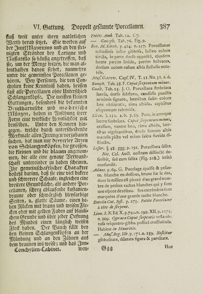 flufj toeit unter ihren natürlichen UBettff herab feget. @ic toerben auf her 3ii|eliT?autitius unb au ben ffei« nigten ©trdnben bei) ffarique tmb tluffatello fe ffdtifig angetroffen, baff fie, um ber OTcngc tui'ucn, bie man al« Ientffalbcn babon ffebet, nuntnrffro unter bie gemcinften $)orcelIancn ge« hören. Sßet) ^Jcrfonen, bieuonSon« cl)i)lien feine ftenntniff haben, ffeiffen faff alle <porccl(anen offne Unterfcffieb ©cfflangenfhpfe. ©ie meiften Keinen ©qttungen, bcfcitberS bie befannten XViifcffarmfcbe unb mobnfebe ITTfinsen, haben in Sinfeffung ihrer form eine tmrflicbc Slcbnlicfffcit mit benfetben. Unter ben Äennern hin« gegen, toclcffc bureff unferfdjeibenbe gjlerfmafe allen Qrumgcn oorjubaucn fueffen, hat man nur lu-everley 2lrreu von ©cblatigeitföpfen, biegroffen, bie fleinen unb bie blauen angenom« men, bie alle eine genaue Q3ern?anb« jeffaft untercinber jti haben feheinen. 3ffr gentetnfcbaftlicbcr Cbaraftei* beffefft barinn, baff fie eine nie! biefere unb fcfftocrere ©chaale, ingleid)en eine breitere ©runbfldcbe, als anbere $ßor« eeüanen, feffreg ablaufenbe Faffanien« braune ober fdffcdrjltd) bleufarbige ©eiten, 2. glatte ©dume, einen ho« ben Diöcfen mit brann unb meifenj-le« efen ober mit gelben 5'aöen auf blauli« ci)cm ©runbe unb über jeber Oefnung beö ffliunbes einen langlid) metfen g-lecf haben, ©er 33aud) fdllt bei) ben fleinen ©djlangcnfbpfcn an ber gKünbung unb an ben Sdffnen auS bem braunen inS tocife; unb bas 3nn* Conct)ylien<£abinet. tuen« Petiv. Amb. Tab. 12. f. 7. — Gaz.oph. Tab. 76. Fig. 9. Bon. Al. Kirch. p.464. n. 2^7. Porcellanac tettudinis inftar gibbofa, ladleo colore tincta, in parce dorfo oppolitä, ejusdem Jatera pariim livida, partim helvacea, dorfum autem rufum albis ileliuiis nota- bile. Aluf.Gottvv. Capf.IV. T. ii.No.31. a.d* Rumph. Tab. 38. F. Caput ferpentum minus. Gua/t. Tab. 1 f. J. O. Porcellana fimbriata laevis, dorfo llihdavo, candidis pundtis nrnimis fignato, lateribus fufco colore late obfcüratis, rima albida» capitibus aiiquantum tuberofis. Klein. $.232. 2. b. p.89. Pore.in utroque latere Hmbriata. Caputßrpentum minus% craffum, ventre lato, rima albida, late¬ ribus nigricantibus, dorfo fumino albis maculis pidto vel etiam faicia davida di- (tindto. LeJJer. §.48. ggg. P-191- Porcellana falita. Not. Cel. Audi, noftram diftindtd de- feribit, fed cum falita (Fig. 228O irrlt6 confundit. Adam. p. 69. G. Pucelage epaiffe & pefan- te, blanche en deflous, brune für le dos, dont lemilieueft pieotd d’un grandnom- bre de petites taches blanches qui y iont uneefpecederdfeau. Sesextrömites lont marqudes d’une grande tache blanche. DaviU Cat. Sy ft. p.273. Petit e PorceUme ä tete de firpent. Linn. S. A\Ed. X. p.72o.n. 298* XII.p. 1 • n. 309. Cypraea Caput ferpentis tefta ob- tufa triquetro-gibba, poftice crafliufcula. Habitat in Mauritio. — Muf. Reg. U/r. p. f71. n. 189. Nofiitur gibbofitate, dilatata figura 6c parvitate. ©ga Huc