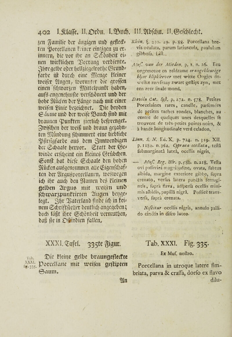 lab.. XXXI. fif* 335* 402 I.SÖfofie* n.örbit. ISMtdj, 8cn gamific Der äugigen unb geflccH ten $>orcelfanen leimt einzigen su et* innern, bte vor ihr an Schönheit ei* nen tt>trf{icf)en Vorrang verteilte* Q()rc gelbe ober ()ellsicgclrotf)c©runb* färbe ifi burd) eine SDtcngc Heiner iveifer Singen / roormifer bie grollen einen fehmarjen SBlirrdpunft haben, mfi cngcncfjntfte verschönert unb ber hohe ÜKücten ber Sdngc nach mit einer trafen ginie bezeichnet* Sie bevben gdmne unb ber tveife Saud) finb mit braunen fünften giert ich befprenget* Stmfdjen ber tveiß unb braun gc;abn* ten SJiünbutig fd)immert eine liebliche ^Pffrilöfarbe aus bem Qnntoenbigen ber Schaalc hervor* Statt ber ®e* toinbe erfdjemt ein Keinem ©rubeben. @onft bat biefe gebaale ben hoben SKücfcn ausgenommen - au e (£igcnfd)af* ten ber Sirguoporcelianen, tveotvegen id) ihr aud) ben Sicmien beg Heine« gelben 2lrgue mit weifen unb fcbwarspmiftirten ‘Singen bepge* fegt Shv SSaterlanb fmbe ich in fei* nem ©d)nftfieüer bctitlid) angegeben; boeb faßt ihre (gebenbeit vernmtben, baß fte in Offinbien fallen. IlL9fbfd)it. n.@cfd)(citt Klein. §. 250. 29. p. gg. PorcelLna bre- vis oculata, parum iatiuscula, paululum gibbofa. Lift., A luf. van der Mieden, p, 2. n. 26. Eea ongemeene ea zeldzame ornngekleurigc kljne l’lipk/cever met writte Oogjes de- vreike zeerfraay zwart geftipt zyn, mec cen zeer finale mond« DAviU Cat. Syß. p« 272. n. f78. Pentes Porcelaines rares, canelle, parfemies de pedtes raches rondes, blanches, au ccntre de quelques unes desquelles fe trouvent de tr6s-peuts points noirs, & h bande longitudinale verd celadon, Linn. S. N. Ed. X. p. 724. n. 519. XII. p. ii$o. n. 361, Cypraea ccel/ata, teftä fubmarginatä Iutefi, ocellis nigris, — Mvf. Reg. Ulr. p. ,-go. n.218. Tefta ovi pafferini rragnitudine, ovata, fubtus albida, inargine exteriore gibbo, fupra crenato, verfus latera pun&is ferrugi- neis, füpru fiava, adfpcrfa ocellis rr.ini- mis afbidis, pupillä nigrä. Poftice trans- verfä, fuprä crenata« Nofcitur ocellis nigris, annulo palli- do cindis in difco luteo* XXX1.2afel. 335te gipr. ©ic Heine gelbe braungeflecfte Porcdleine mu treife» gefiipten ©«um. 2tn Tab. XXXI. Fig. 335. Ex Muf. noftro* Porcellana in utroque latere fim- briata, parva 6c crafla, dorfo ex flavo dilu-