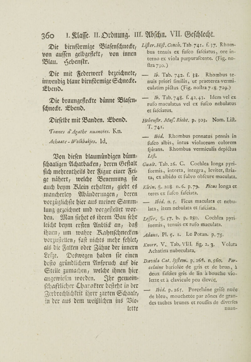 ®ie bimförmige SMafenfcbnede, twn auffcn gelbgefleft, \>on innen 25(au. ^cbenflr. ü)ie mit geberwerf be^eiebnete/ inwenbig blaue bimförmige @cbnecfe* 5£benfc* X>k braungeflecfte bunne Olafen? febneefe. £benb>. £)iefelbe mit 25anben. sEbenb. Tonnes cP Agathe nuancees. Rn. Achaate - Wolkbakjes, ld. 23on biefen blaumünbigen bünm febaaligen 5Xd^atba<fcn, beren (Beflalt ft(b mebrentbeilä ber gigur einer gei* ge nähert, weldje Benennung fte öud) bet;m Klein erhalten, giebt e<? mancherlei; Slbanberungen, beren bor$üglid)fle hier au$ meiner ©amm« Jung gezeichnet unb vorgejlellet wor¬ ben. f)3tan fielet c$ ihrem S3au febr leicht bei;m erjlen $lnblicf an, baß ihnen, um wahre I\abn(ebneren toor$u(rcllen, fafl nid;t$ mehr fehlet, alö bie galten ober gähne ber innern £efse. 0eöwegen haben fte einen befto grünblitbem 5lnfprucb auf bie ©teile jumacben, weld;e ihnen hier angewiefen worben. 3hr gemein* febaftlicher 0;araFter begeht in Der gcrbrccblkbfdt ihrer garten ©djaale, in ber and bem weißlichen im 23io* lette Lißer.Hiß.Conch. Tab. 741. f. 57. Rhom¬ bus tenuis ex fufco fafeiatus, ore in- terno ex viola purpurafeente. (Fig. no- ftra73o.) — lb. Tab. 742. f. 58- Rhombus te¬ nuis priori fimilis, ut praeterea vermi- culatim pi&us (Fig. noftra 71%. 729.) — Ib. Tab. 748. F. 42.43. Idem vel ex rufo maculatus vel ex Fufco nebulatus et fafeiatus. Hebenfir. Muß Rieht, p. 303, Nom. Lift. T. 741. — Ibid, Rhombus pennatus pennis in fufco albis, intus violaceum colorem fpirans. Rhombus vermiculis depi&us Lift, Geteilt. Tab. 26. C. Cochlea longa pyri- formis, intorta, integra, leviter, ftria- ta, ex albido et fulvo obfeure maculata. Klein. §. 208 n. 6. p. 79, Ficus longa ec teres ex fufco fafeiata. — Ibid. n. f. Ficus maculata et nebu- lata, item nebulata et fafeiata. Leffcr, §. f7. b. p. 28°* Cochlea pyri- formis, tenuis ex rufo maculata. Adans. PI. ?. 1. Le Potan. p. 75. Knorr. V. Tab. VIJI. fig. 2. 3. Voluta Achatina nubeculata. Davila Cat. Syfiem. p. 26$. n.f£o. Por- celainc bariolee de gris et de brun, ä deux fafeies gris de lin ä bauche vio¬ lette et ä clavicule peu elevce. —» Ibid. p.2,6f. Porcelaine grife nude de bleu, mouchetee par zdnes de gran- des taches brunes et roulFes de diverfes nuan-