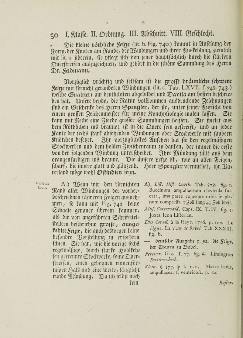 Varietas Ixvis. $ 50 I. Stoffe. IL £H‘&itim<j. III. VIII. @efcf>tcdjt. Die Fleine rotblicbe Seige (lit b. Fig. 740) Fomtnt in Blnfcbttng ber Srorm,ber knoten am SRanbc, berTBinbungcn unb ihrer 2lu£Feblung, $tcmlid) mit üt. a. überein, ffc pflegt fiel) Pon jener bauptfddffid) burd) bic ftdrFern Ouerffreifen au^u$cid)ncn, unb gehört in bie fcbone Sammlung be£ Jpcrrn Dr* jefttiiann» Q^orsuglid) prächtig unb fcltfam iff bie grofie bräunliche fehlere Seige mitFornkbt geranbeten TBinbungcn (lit. c. Tab. LXVII. f. 742.743.) toclcbe (Bimltiert ant beutlid)ffcn abgebilbet unb £>arilß am beffen befebrie* ben hat» Untere bepbe, bie Bfatur polIFomtncn aimbrucfcnbe St’tchnungen ftnb ein ©cfcbettFe bcS iberrn Spengler, ber fte, unter feiner Bluffidff Pon einem groffen geidmnmeiffer für meine SFoncbpliologie malen laffen» 0ie Fann mit 9iecf)t eine 3ierbc groffer 6ammlungen hoffen» 6te jptclct au$ bem Oiothlichen in$ braune; iff tn bie Datiere fein geff reift, unb an jeber $ante ber fecb£ ffarF abfeuenben TBiitbungcn ober 0tocFtoerFe mit faubern Knötchen befci$ct* 3h t oorffigltd)ffeii> Blnfchen hat fie ben regelmäßigen 0tocFmerFcn unb bem hohlen Stoifcbenraum §u banFen, ber immer bie erfte Pon ber folgcnben TBinbung unterfebeibet. 3bre B3iünbung fallt au6 bem orangenfarbigen in$ braune, Die duffere Befte iff, toie an allen Jeigcn, fcharf, bie innere glatt unb gldnjenb* d)err Spengler Permutbet, ihr 2>a* terlanb möge molff (Pffinöien fcpn* A.) Töenn mir ben fornichten Oianb aller TBinbuitgcn ber Porber* befchriebnen fehtoeren Seinen auonef)* men,» fo bann mit Fig* 742. Feine 0d)aale genauer überein fommen, am bic Pon angeführten 0cbriftffeh ffcllern befdmiebne greife, m^ge* Fehlte^eige, bic auch belegen Feine befonbre QSorffellung ;u erforbern fehlen. 0ie hat, tme bie porige fecb$ regelmäßige, bureb ffarFe Jpohlfeh^ len getrennte 0tocFmerFe, feine £iuer* ffretfen, einen gebognen rinnenfor* migen Jpatö unb eine träte, länglicht runbe TOnbung» Da ich fclbfl noch Fein A) Lift. Hiß. Couch, Tab. 27$- fig. r. Buccinum ampullaceum clavicula ful- cata, ima paite cujusque orbis in pla¬ num comprefla. lang 4I 3ol( breit. Muß, Gott Wald. Caps. IX. T. IV. fig. 1. Juxta Icon Lifterian. Elhs Cor all, ä la Haye. 17f 6. p. 100. La Figue. La Tour de Babel. Tab.XXXUI. fig. b. — beutfehe Ausgabe p. 91, bie ^’ige, ber tbuvm 311 2>nbel. Petjver. Gaz. T. 77. fig. 6, Limington Bottlevvhelk. Klein. §. 177. fp. I. n. n. Mazza larvis, ampullacea. I. ventricofa. p. 6 z. Baßer•