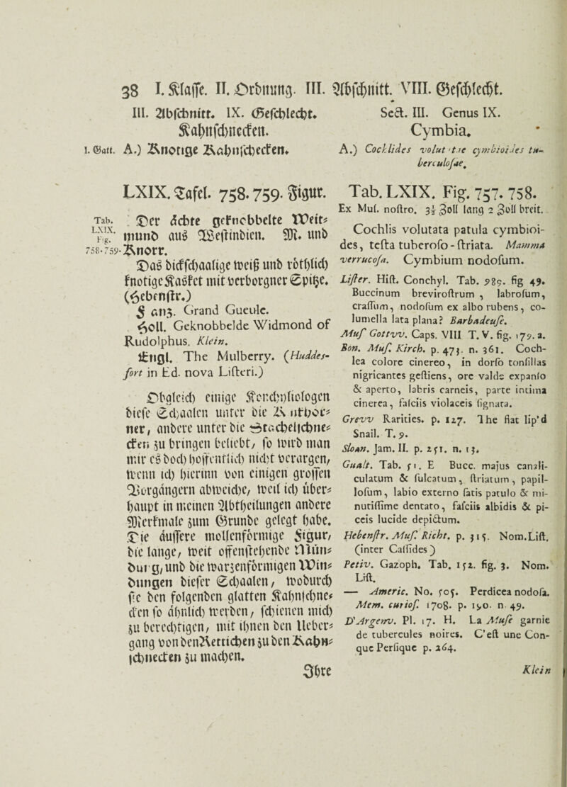 > 38 I. fttatfc. II. jörfcmmg. III. Qtbfc^nitt. VIII. ©efdjtedjt. III. 21bfcbmtr* IX. (Befcblecbt* Äatynfdwccfen. i. @a«. A.) Änonge 2Näl>nfct)eclm LXIX. $afet. 758.759- Tab. £)cr dcbte gcfncbbelte XX>eit* LK,gf niunb auS TBeffinbien. 9Du unb 758-759-^norr. £>a$ bid'fdjaalige tDcig unb rotlffid) {'nötigeftaSf’ct mit verborgner 6pil>e. (öebcftflrO 5 6n> Grand Guetilc. ^Oll. Geknobbelde Widmond of Rudolphus. Klein. ltngl. The Mulberry. (Huddes- fort in Ed. nova Lifteri.) £)baleid) einige S?end)i)(tc(ogen biefe £d)aalcn unter bie Z\ ntboc* ner, anbere unter bie stacbelicbne* cf er» su bringen beliebt/ fo tvtrb man mir e$bod)l)öffentlid) nid)t verargen, trenn id) bicrinn von einigen groffeit Vorgängern abtveid)e, tveil id) über* baupt in meinen Abtbeilungen anbere 93icrfmale sunt ©runbe gelegt habe. T\e duffere moUenforntige Sigur, bie lange, tveit offenffepenbe tlliin* fcurg, unb bie tuarsenformigen tt)in* billigen biefer 6d)aalen, tvoburd) ffe ben folgenbcn glatten ftabnjcffne* den fo dpttlid) tvevben, fdffenen mid) SU bered)tigen, mit ihnen ben lieber* gang vonben2Utticben suben 2\ab»* icbnecf en su machen. * Se&. III. Genus IX. Cymbia. A.) Cocklides volut ’tie cymbioiJes tn~ berculojtiet Tab. LXIX. Fig. 757- 758. Ex Mul. noftro. 3*>U lang 2 3oU breit. Cochlis volutata patula cymbioi- des, tefta tuberofo - ftriata. Mawma 'verruco/a. Cymbium nodofum. Lißer. Hift. Conchyl. Tab. 5*89. fig 49. Buccinum breviroftrum , labrofum, craflum, nodofum ex alborubens, co- lumella lata plana? Barbadeufi. Muf Gottvv. Caps. VItl T. V. fig. 175-. a. Bon. Muf. Kirch. p. 47$. n. 361. Coch¬ lea colore cinereo, in dorlb tonfilias nigricantcs geftiens, ore valds expanlo & aperto, labris carneis, parte intima cinerea, falciis violaceis (ignara. Grevv Rarities. p. 117. The fiat lip’d Snail. T. ?. Slow. Jam. II. p. 2fT. n. 15* Gualt. Tab. p. E Bucc. ma}us canali- culatum & fulcatum, ftriatum, papil- lofum, labio externo facis patulo & mi- nutiftime dentato, falciis albidis &. pi- ceis lucide depi&um. He ben fr. Muf Rieht, p. p<f. Nom.Lift, (inter Calfides) Petiv. Gazoph, Tab. ip. fig. 3. Nom. Lrft. — Enteric. No. fof. Perdicea nodofa. Mein. curiof 1708. p. 190. n 49. D'Ar ge 7iv. PI. 17. H. La Mufe garnie de tubercules noires. C’eft une Con- que Perfiquc p. 264.