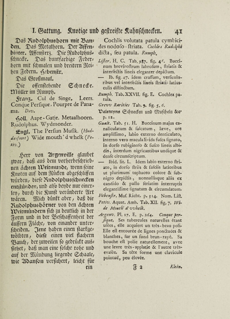 DaS Rufcolphttehorn mit 23am fcen. £>a6 ^Malhorn* £>cr2ififen* hinter* 21ffcnfler$. £>ie DiubolphuS* fcbnecf'e* .Das? buntfarbige Jeher* born mit fchmalen unb breitem Dtei* flen Jebern* <Vebenilr. ©roümauL Tue offenflehenbe ©ehneefe. tTJüUer im Diumpfu 5rar«5* Cul de Singe* Leers. Conque Perfique, Pourpre de Pana¬ ma. Dav. ^OU. Aape-Gatje. Metaalhoorn. Rudolphus. Wydmonder. jgncfl* The Perfian Mufik. (Hud- desfoort) Wide mouth’ dwhelk (Pc. tiv.3 jperr pon 2irgemnUe glaubet jlDar, baß au$ bem Porherbejchrieb* neu achten VDeitmunhe/ trenn feine Stnoten auf bem Bütten abgefchfiffett mürben/ biefe Rubolphuafcbnetfett entjlttnben, unb a(fo bepbe nur einer* (et), bureb bic Sunft perdnberte 2Irt mdren. SDitcb bünft aber, baß bie 2\ubolpbue>honier pon ben deinen tttdtmfmbern fld) $u bcutftcb in ber Jorm unb in ber 93efc&ajfenbeit ber duffem Jldche/ Pon einanber untere febeiben. 3ene haben einen flarfge* tuolbten, fciefe einen Piel flachem jauchz bersumeiten fo gebt lieftau&? flehet/ baß man eine fo (che rohe unb auf ber 93iünbung (iegenbe ©ebaale, mie 2(hanfQn pcrflcbcrt, leid)t für Cochlis volutata patula cymbici- des nodofo - fbriata. Cochlea Rudolphi di&a, feu patula. Rumph. Lifier, H. C. Tab. 987. fig. 4/. Bucci- num breviroftrum labrofum, ftriatis Sc interfie&is lineis eleganter depidum. — Ib. fig. 47. idem crafTum, verficolo- ribus vel interfedis lineis ftriatis latius- culis diftindum, Runtph. Tab» XXVII. fig. E. Cochlea pa¬ tula. Grevv Rarities Tab. 9. fig. 5. 6. t>alcmyne ©efmeefen unb $Uufcf>dn Scc‘ p. 12. Gudlt. Tab. fi. H. Buccinum majus ea- naliculatum Sc fulcatum, laeve, ore ampliftimo, labio externo denticulaco, interno vero maculalivida fufca fignato, in dorfo rubiginofo Sc fufco lineis albi- dis, interdum nigricantibus undique Sc denfe circumfcriptum. — Ibid. lit. L. Idem labio externo ftri- ato, in dorfo ftriis Sc fafeiis latioribus ut plurimurn tophaceo colore Sc fub- nigro depidis , nonnullisque aliis ex candido Sc pullo feriatim interruptis elegantilTime (ignatum Sc circumdatum. Hebenftr. Muf. Rieht, p. 514. Nom. Lift. Petiv. Aquat. Amb. Tab. XII. fig. 7. IVi- de Moutti d! vvhelk. Argenv. PI. 17. E. p. 264. Conque per- ßque, Ses tubercules naturelles dant uföes, eile acquiert un tres-beau poli* Elle eft entourSe de lignes ponduees Sc blanches, für un fond brun-rayS. Sa bouche eft polie naturellement, avec une levre tr£s - applatie Sc 1’ autre tr£s- evaföe. Sa tCte forme une claviculc pointue, peu devde.