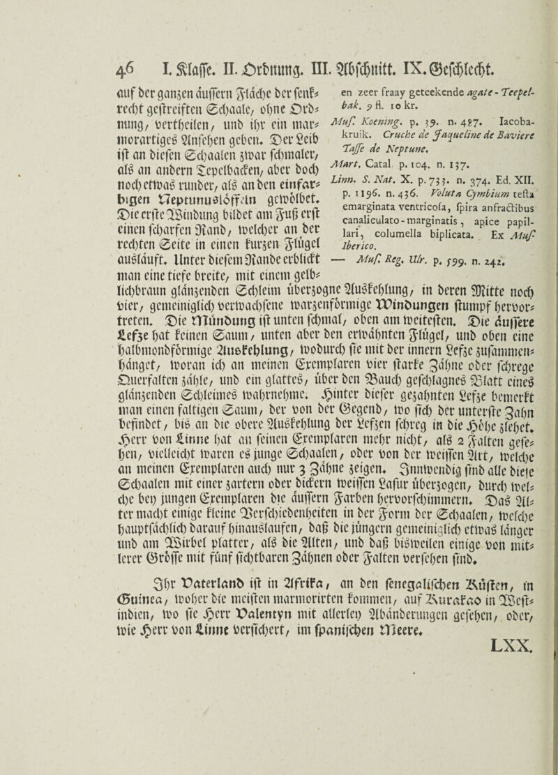 en zeer fraay geteekende agate- Teepel- buk. ? fl. io kr. Muß Koemng. p, 39. n. 427. Iacoba- kruik. Cruche de ffac^ueline de Baviere Taffe de Neptune, Aiart, Catal. p. 104. n. 157. Linn, S. Nut, X. p. 75 n. 374. Ed. XII. p. 1196' n.436. Volutu Cymbium tefla emarginata ventricofa, fpira anfradibus canalieulato-marginatis , apice papil- lari, columella biplicata. Ex Muß lberico. — Muff Reg,, Ulr. p. $-99. n. 242, 46 I. ftlaffe. II. Otbmtttg. III. IX. ©efdjlcdjt. (Ulf ber ganzen duffern 3ldcfec ber fenf? recht gcfrrciftcn 0d)aalc, offne Drb? nung, oertffcilcn, unb tffv ein mar* morartige^ Slnfcben geben* Der Selb iff an biefen 0d)aalen sBar fdnnaler, aB an anbern ^cpclbaden, aber bod) nod) ettoaö runber, aB an ben cinfar* lugen t7epnimial6ffun gcVt>6lbet* DieerfteSBinbung hübet am Suß erff: einen feffarfen Dranb, toelcffec an ber red)ten 0eite in einen furzen Siügcl aiBldufff Unter biefem Oianbe erblidt man eine tiefe breite, mit einem getb^ liebbraun gldnsenbcn 0d)leim übcrsognc^UBfeblung, in beren 9)iitte noeff Pier, gemeinigtieff pertoaebfene Bar$cnfbrmige XDinfcungen dumpf fferoor^ treten. Die tnänöung ift unten feffmat, oben am Beitedcn. Die duffere £ef3e bat feinen 0aum , unten aber ben ermahnten $lügcl, unb oben eine balbmonbformige 2luö£eblung, Boburcb fie mit ber innern £efsc sufammen* banget, Boran ieff an meinen ©cempfaren Pier darbe gähne ober feffrege öuerfaltcn sdble, unb ein glattes, über ben 2$aucb gefefftagneö fBtatt eines gldnsenben 0d)leime$ Babrnebme. hinter biefer gesahnten Sefse bemerft man einen faltigen 0aunt, ber Pon ber ©egenb, tue ffeff ber unterde jabn befmbet, bB an bic obere 2lu$fcblung ber fiefsen feffreg in biej^ebe siebet S)crr Pon £inne bat an feinen ©cemplarcn mehr niefft, aB 2 Salten gefe* ben, PicUcid)t Baren e$ junge 0d)aalen, ober Pon ber Beißen 5irt, Belebe an meinen ©templaren aud) nur 3 gapne seigen* QiinBcnbig fmb alle biete 0d)aalen mit einer sattem ober bidern Beiden ßafur übersogen, burd) Bel? d)c bep jungen ©eemplaren bic äußern Jarben berporfddmmern«. DaS 2(1? termad)t einige flcine QSerffcffiebenbciten in ber Sonn ber 0d)aalen, Belebe bauptfdd)ficb barauf binatBlaufen, baß bic jüngern gemeiniglich ctBaS langer unb am SSirbct platter, aB bic eilten, unb baß bBBeilen einige pon mit« lerer ©rofie mit fünf fid)tbaren Sahnen ober Salten pcrfeben fmb* 3br Daterlanb id in 2lfriFa, an ben fenegalifebeu Äüffett, in (Guinea, Bober bic meijten marmorirten fomrnen, auf Zwafao in$8eft* inbien, Bo fie Jperr Dalentyn mit allerlei) 5lbdnberungen gefeben, ober, Bie „fterr Pon &iime Perfid)ert, im fpanifchen tTleere* LXX.