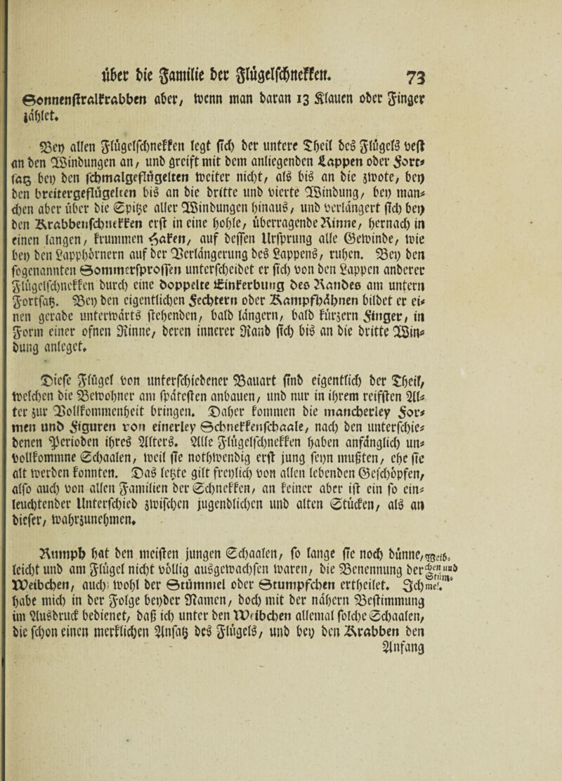 ©ernienffrdfrabben aber, trenn man baran 13 flauen ober Singer id&lefc 23et) allen glugelfdjneffen legt ffd> bet* untere £beil beg glögelg ve|l an ben SSinbungen an, unb greift mit bem anliegenben Wappen ober Sore* fa$ bet) ben fcbmalgefltfgelten treiter nicl)t, alg big an bie jtrote, bet) ben hreitergeflügelten big an bie brltte unb vierte ^öinbung, bet) man* d)en aber über bie 6pi$e aller SSinbungen hinauf, unb verlängert (Tel) bet) ben Ärabbenfcbnetlfen er(T in eine hoble, überragenbe&inne, bernacbiti einen langen, frommen auf bejfen tlrfprung alle ©etrinbe, tnie bet) ben Sappbbrnetn auf ber Qßerldngerung beg Sappeng, ruhen, 93et) ben fogenannten ©ommerfprofien unterfebeibet er fiel) von ben Sappen anberee giögclfdjncffen burcl) eine boppelte i&nFerbung bes llanbtQ am untern gortfaft. 93et) ben eigentlichen Fechtern ober Kampfbahnen bilbet er ei* nen gerabe untertodrtg ftebenben, halb langem, halb füttern Ringer, in gortn einer ofnen Dvinne, beten innerer Ovanb (Tel) big an bie britte 2Sin* bung anleget* ©iefe glügel von unferfebtebener SSauart ftnb eigentlich ber tbeif, trclcben bie SBetrobner am fpdte|Ten anbauen, unb nur in ihrem reifften 511* ter jur QSolffommcnbeit bringen* £)aber fommen bie maitcberley Sor* men unb Figuren ron einerley ©cbnettenfcbaale, nach ben unterfebie* benen gerieben ibreg 5l(terg* 5Ule glttgelfd)neffen haben anfänglich utt* Vollfomnme 6cbaalen, treil fie notbtvenbig erft jung fepn mußten, ehe fte alt trerben tonnten, £>ag lebte gilt freplid) von allen lebenben ©cfd)6pfen, alfo aud) von allen gantilien ber 6cbncffen, an feiner aber ift ein fo ein* leuebtenber Unterfcbieb jtrifeben jugenblicben unb alten 0tucfen, alg an biefer, ira&r$une(jmen# Rumpfe bat ben meijTett jungen 6d)aalen, fo lange (Te noch bfinne,«©^ leid)t unb am Jlügcl nid)t völlig auggetraebfett traten, bie Benennung ber|y“& Xpetbcben, auch5 tvobl ber ©tumntel ober ©tumpfeben ertbeilet* Scbme,’!'11' habe mid) in ber golge bet)ber tarnen, boeb mit ber nähern 23eftimmung im Slugbntcf bebienet, baß ich unter ben TDdbcben allemal fold)e0d)aalen, bie febon einen merklichen 2lnfa§ beg glttgelg, unb bet; ben Krabben ben Anfang