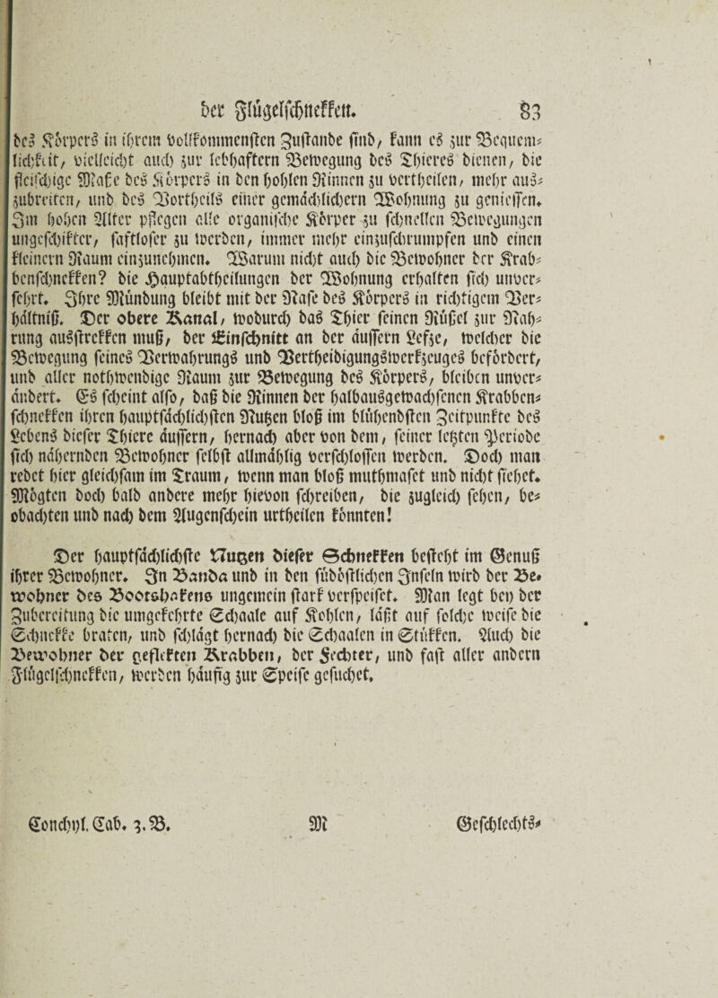 be§ ftbrpcrS tu ihrem Pollfommenßcn ^ußaitbe ßnb, fann c$ sur Sequenz licbftit, riellcicbt aucl) juv lebhaftem 93etregung bc$ ShiereS bienen, bie ficücbigc 9Ra£c bc$ 5i6rpcr^ in ben hohlen Dünnen 511 pcrtheilen, mehr au$* Streiten, unb bc$ BorthcilS einer gemdd)lid)ern ^Bohnung $u genießen* 3in hohen 2lltcr pflegen eile organifche Körper gu febneflen Beilegungen ungcfdßftcr, faftlofer su »erben, immer mehr cingufdirumpfen unb einen Reinem Düium cinjunchmcn* $Barum nidjt aud) bie SBetnohner bei* £rab* bcnfd)ncffen? bie Jjjquptabthcilungen ber SBohnung erhalten ftd) unocr* fehlt* Shre ffllünbung bleibt mit ber Sftafe be$ StbrperS in ridßigem Q3er* hdltniß. Der obere Rand, troburd) ba$ $hier feinen Diußel sur 9iah* rung auSßrcffcn muß, ber lEinfcbmtt an ber äußern ^cfse, tuclcbcr bie SBctPcgung feinet ^ermahrungS unb 93ertheibigungSU)crf$cugci> beforbert, unb aller nothtbenbige Diauni $ur D5etoegung bc$ SlorperS, bleiben unrer* dnbert* feheint alfo, baß bie Dünnen ber halbai»getoad)fcncn Krabben* fd)netten ihren hauptfdd)lid)ßcn Dtufcen bloß im blühenbßcn Seitpunftc bc$ Sebent biefer £hicre äußern, hernad) aber Pon bem, feiner festen ^eriobe ftd) ndhernben Betrohncr fclbß allmdhlig perfcblofien »erben. ©oeb man rebet hier gleid)fam im £raum, trenn man bloß muthmafet unb nid)t flehet* 9R6gtcn bod) halb anbere mehr hievon fd>reibcn, bie jugleid) fehen, be* obad)ten unb nach bem 2(ugcnfd)ein urthcilen tonnten! ©er h<tuptfdd)tid)fTe Husen biefer ©ebneren beßcljt im ©enuß ihrer SBctrobncr* 3n unb in ben ftiboßlidjen 3nfeln »irb ber 23e* trobner bes £oot&ha?ene ungemein ßarf Pcrfpcifct* 50tan legt bei) ber gubereitung bie umgcFchrtc Sdjaale auf Stöhlen, laßt auf folche »cifebie 0d)iidte braten, unb fd)ldgt hernad) bie 0chaalen in Stuften. Qlud) bie 2>ewobner ber ^efleften Ärabben, ber Sechter, unb faß aller anbern 3'lugclfdjneffen, »erben haußg jur Speife gefuebet. Sondjt)!. Gab* g.D3, ©efchlecht^