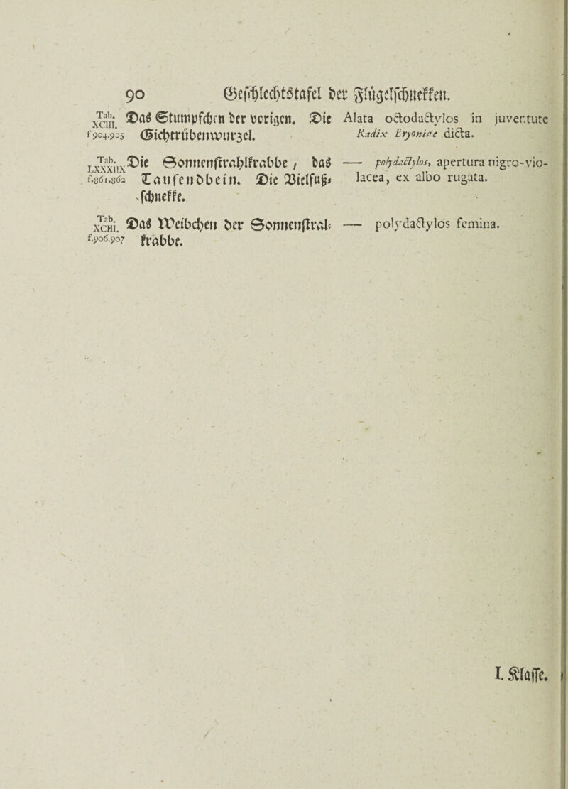 xcui ®tumpf(6c« bcr vcri^cn* ©ic Alata o&odaäylos in juvcntutc 904.905 <^ld)trubCim?Ut*3CL Iryoniae ditta. 1 xxxiix®** 0omtenf!tv^lfrabbe / ba$ — plydaclylos, apertura nigro-vio- Ü61.S62 Oufenbbetm £>ie 23ielfufj* lacea, ex albo rugata. xfcpneffc. xcHi. VPeib cfyen ber Sonnenflrab — polyda&ylos fcmina. f.906.907 fr^bbr* I. Ä(affe*