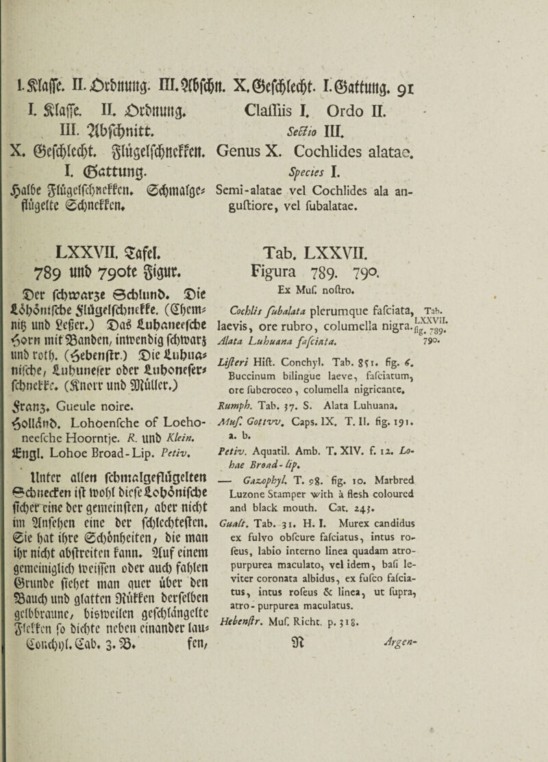 I* Stoffe. II, III. 2(bfd)nitt* X* ©efdjlcdjt glugelfdjncfrett* I. ©attimg. Jpalbe glügelfdjneffau ©ebmafgc* flügeltc 0d)nclfcn* Clafliis I, Ordo II. Seoiio III. Genus X. Cochlides alatae. Species I. Semi-alatae vel Cochlides ala an- guftiore, vel fubalatae. LXXVIL Safel. 789 utti> 79ote gigur. £)er fd)n?ar$e Schlund £)te JLobomfcbe Slügelfcbneffe. (@()cm* nif? unb geßerO £>aS £ubaneefcbe ^orn mit kanten, intnenbig fd)tuar$ unbrotb* (6d?enflr.) £>ie£ubua* nifcbe, üubunefer ober Hubcnefer* febnebire* (Änorr unb ^Hülfet*) gratis* Gueule noire. ^Olldnfc. Lohöenfche of Loeho- neefche Hoorntje. R. unb Klein. SEngl. Lohoe Broad-Lip. Petiv. Unter allen fcbmalgeflngelten 0cbr;e(fen ift toof)l biefeilobömfebe jtebereine ber genieinflen, aber nid)t im Sfnfeben eine ber fd)lcd) teilen. 6te bat ihre 6d)6nbetten, bie man ibr nid)t abjlreiten fantu 2luf einem gemciniglid) toeifien ober aud) fablen ©runbe fiebet man quer über ben SBaud) unb glatten SRütfen berfelben gelbbraune/ btetoeilen gefd)ldngelte gleiten fo biebte neben einanbet* lau* ^ond)i)l* £ab» 3* 23* fcn; Tab. LXXVII. Figura 789. 790. Ex MuG noftro. Cochlis fubaUta plerumque fafeiata, Tab. laevis, orerubro, columella nigra. Alata Luhuana fafeiata. 79°* Ltfteri Hift. Conchyl. Tab. g?i. fig. Buccinum bilingue laeve, fafeiatum, ore fubcroceo, columella nigricance. Rumph. Tab. $7. S. Alata Luhuana. Muf. Gottvv, Caps. IX. T. II. fig. 191. a. b* Petiv. Aquatil. Amb. T. XIV. f. 12. Lo¬ hne Broad-Lip♦ — GaztOphyl. T. 98. fig* 10. Marbred Luzone Stamper with ä flesh coloured and black mouth. Cat. 24.$♦ GuaLt. Tab. 31* H. I. Murex candidus ex fulvo obfeure fafeiatus, intus ro~ feus, labio interno linea quadam atro- purpurea maculato, vel idem, ba(i le- viter coronata albidus, ex fufco falcia- tus, intus rofeus & linea, ut fupra, atro-purpurea maculatus. Hel/enßr. Muf. Rieht, p. 318. 91 Argen-