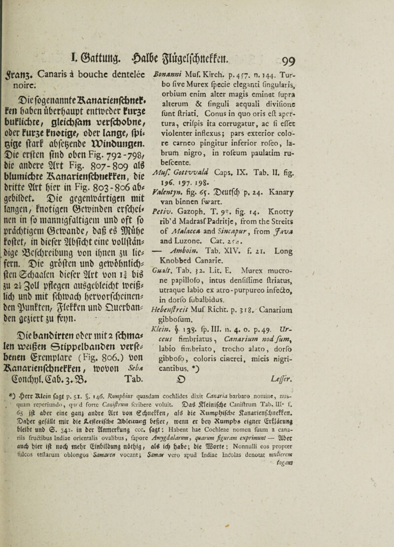 I. ©attuttg. -^fl[6e Slugc[fcf)ttcffeit. Canaris A bouchc dentelec noirc. N Diefogenannte£anarienfdnielS fcn haben überhaupt enttt>cbcr fur3C bufliebte, gleicfofam retrfebobne, ober hiv$t knotige, ober lange, fpi* gtge jlarf ahfcfcenbe XEmfcungcn. Die erften finb oben Fig. 792-798/ bic (tnbere 2lrt Fig. 807-809 atö blumiebte Äanarienfcbne^en, bie britte $lrt hier in Fig. 803-806 ab* gebilbet* Die gegenwärtigen mit langen, f notigen ©ctinnben crfdjei* nen in fo mannigfaltigem unb oft fo prächtigem ©ctoanbe, baß e£ SKühe fojtct, in biefer 2lbfTcbt eine Polljtdn* bige Vertreibung pon ihnen 51t lie* fern. Die grollen unb gewöhnlich* (len Sdjaalcn biefer Strt Pon i| bi$ $u 2k 3ell pflegen auSgcbleicbt Weiß* lid) unb mit febwad) berporfebeinen* ben fünften, jleffcn unb Querban* ben gegiert $u fepn. Dtebanfcirten ober mit2 febma* len weißen ©tippelbanben verfe* benen ©remplare (Fig* 306.) Pon Äanarienfcbneffen, tpopon Seb* Qoncbpl. <2ab. 3* V* Tab. 99 Bonanni Muf. Kirch. p.457. n. 144. Tur¬ bo fiveMurex fpecie elegand fingularis, orbium enim alter magis eminet fupra aherum & finguli aequali divifione funt ftriati. Conus in quo oris eft aper- tura, crifpis ita corrugatur, ac fi eflet violenter inflexus; pars exterior colo- re carneo pingitur inferior roleo, la- brum nigro, in rofeum paulatim ru- befeente. Muß Gottvvald Caps, IX. Tab. II, fig. 196. «57. 198. Valentyn, fig, 6f. Deutfd) p, 24. Kanary van binnen fVart. Petiv. Gazoph, T. 9S, fig. 14. Knotty rib’d Madrasf Padritje, from the Streits of Malacca and Sincapur, from Java and Luzone. Cat. z ra. — slmboin. Tab. XIV, f, 21. Long Knobbed Canarie. Gux/t, Tab. $2. Lit. E. Murex mucro- ne papillofo, intus denfiflime ftriatus, utraque labio ex atro-purpureo infeCto, in dorfo fubalbidus. Hebcnfireit Muf Rieht, p. 318. Canarium gibbofum. Klein. § 13$. fp. III. n. 4. o. p, 49. Ur- ceus fimbriatus , Canarium nod fum, labio fiiTibriato, trocho alato, dorfo gibbofo, coloris cinerei, micis nigri- cantibus. *) £) Lejjer. *0 £err Klein fagt p. 51. §. 146. Rnmpbius quasdam cochlidcs dixit Canaria barbaro nomine, nus- quam reperiundo, qurd forte Canifirum feribere voluit. ©a£ 5?leiltifd)e Caniftrum Tab. III* f. 65 jjl aber eine ganj anbre 2lrt hon «^c^uePfen / af3 bie Äumpfiifcbc Stanarienf^ueff'en. ©aber gefällt mir bie £.e£etifcbe Ableitung bejier, roeitn er bei) Xumpb« eigner (Stfläruttg bleibt unb 0. 342. ilt bet SInmetf'ung ccc, fagt: Habent hae Cochleae nomen fuum a cana- riis fructibus Indiae orientalis ovalibus, fapore Amygdalarum, quarum figuram exprimunt—• 2lbec auch piec ift noch mehr (Sinbilbung nötpig, al$ icf> fiabe; bie 2Borfe: Nonnulli eos proprer liilcos tellarum oblongos Sarnau en vocantj Samar vero apud Indiae Indolas denotat mulierem togam