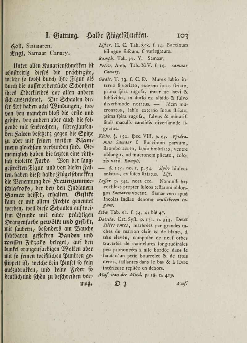 $0Ü. Samaaren. £nßl. Samaar Canary. Unter allen ftanarienfehneffen ift obnfrreitig tiefet btc prdd)tigfle, foclche fo itobl burd) ihre Jigur al$ burd) bie aufierorbentliche 0ch6nhcit ihres ObcrfleibcS Por allen anbern fid) auS$eichnet* £>ie 0chaalen bie* fee 2lrt baten ad)t SSinbungen, \vo* ton bei) manchen bloß bie erftc unb groftc / bei) anbern aber auch bie foU genbe mit fenfrechten, fd)reglaufen* ben galten befe$ct; gegen bie 0pigc 511 aber mit feinen tceißen Älam^ mern gleichfam terbunben ffnb# ©e* meiniglid) haben bie legten eine roth* lieh tiolctte Jarbe. QSon ber lang* gejfreften Jigur unb ton biefen Jal* ten, haben biefe halbejlügclfdjneffen bie Benennung bcS Sraucnsimniec* fcblafrofe, ber bei) ben 3nbianern 6amar hoffet, erhalten. (Beftift funn er mit allem Rechte genennet merben, tteil biefe 0chaalen auf toei* fern ©runbe mit einer prächtigen £>rangenfarbe gewdlft unb ßefleft, mit faubcrii/ befonberS am fauche fichtbaren geflefren 23anöen unb ttteiffni beleget/ auf ben bunfel orangenfarbigen ^Seifen aber mit fo feinen mei§lid)en ^untren ge* ftippelt ijt, tteldje fein ^infel fo fein auS$ubruffen, unb feine geber fo bcutlid)unb fchön $u befd)rciben per* mag* Lißer. H. C. Tab. 8f8* f. 14. Succinum bilmgue fufeum. f variegatum. Rumpb. Tab. $7« Y. Samaar. Petiv. Amb. Tab.TCIV. f. if, Samaar Canary. Gualt. T. 33. f. C. D. Murex labio in¬ terne» fimbriato, externo intus ftriaro, prima Ppira rügofa, mucr ne laevi & fublivido, in dorfo cx albido & fulvo diverfimode notatus. — Idem mu- cronatus, labio externo intus (triato, prima fpira rugofa, fulvus &. minutif- limis maculis candidis diverfimode fi- gnatus. Klein. §. ifz. fpec. VIII. p. Epidro- mus Samaar f. Buccinum parvum? ftrombo acuto, labio fimbriato , ventre oblongo, ad mucronem plicato, coIq- ris varii. Rumph. — §. irr* no- r« P* f 4* Sipho hiulcus anfatus, ex fufco ftriatus. Liß. Lejfer p. 54z. nota ccc. Nonnulli has cochleas propter fulcos teftarum oblon- gos Samaren vocant. Samar vero apud Incolas Indiae denotat mulicbrem to- gam. Sela Tab. 6\, f. 34. 41 bitf 4*. Davi/a, Cat. Syft. p. 131. n. 313, Deux dilees rares, marbrees par grandes ta- ches de marron clair & de blanc, k t£te devde, compofde de neuf orbes traverfes de cannelures longitudinales peu prononcees a aile bordee dans le haut d’un petit bourrelet & de trois denrs, faillantes dans le bas & ä levre int^rieure replide en dehors. Muß van der Mied, p, 1 g. n. 409, O 3 Muß