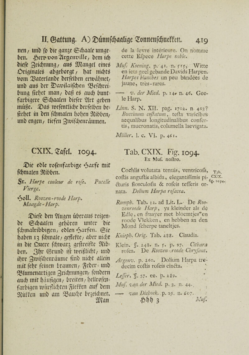 nett/ unb fo bie gan^e (Bcbaalc untge^ ben. -bernuon^rtjcmülle, bernid) tiefe geicbnung/ anö Mangel eineö Originales abgeborgt/ but niebtS bom 23aterlanbe berfelben emdbnet/ unb aus ber ÜDainlatfcben 33efcbref bung flehet man/ baß es auch btmri farbigere Scbaalen tiefer %xt geben müße* 3DaS mefentlübe berfelben be> (lebet in ben ftbmalen beben Stibben/ unb engen/ tiefen gnnfd)enrdumen. de Ia levre interieure. On nomme cette Efpece Harpe noble. Muß Koening. p.- 41. n. fif, Witte en iets geelgebande Davids Harpen. Harpes blanches un peu bändees de jaune, tres-rares. — v. der Mied. p. 14# n. 46. Gee- le Harp. Linn. Si N. XII. pag. 1701. n 463? Buccinum coßatum, tefta varicibits aequalibus longitudinalibus confer- tis, mucronatis, columella laevigata. Müller. 1. c. VI. p. 461. CXIX. $afel. 1094. &ie eble rofenfarbitje <5avfe mit fcbntalen Hibben. Sr* Harpe couleur de rofe. Pucelle Vier ge. <3oll* Roozen-roode Harp* Maagde - Harp. £)iefe ben klugen überaus reifem be (Bd)aalen geboren unter bie (cbmalribbt^en, cblen Warfen. (Sie haben 13 fdnnale/ geffefte/ aber nidjt in bie Duere febmarj geflreifte 9?ib> ben. ©runb ifr meißlubt/ unb ifre gmifcbenrdume ftnb nid)t allein mit febr feinen braunen/ geber^ unb SSlumenartigen geiebnungen/ fonbern aud) mitbdufgen/ breiten/bellrofem farbigen mürftebten gleffen auf bem Stuften unb am $5aud;e teseietner. SD?an Tab. CXIX. Fig. 1094. Ex Muf. noftro. Coehlis volutata tenuis, ventricofa, coftis anguflis albida, elegantiflimis pi- 6luris flosculofis & rofeis tefleris or- nata. Dolium Harpa rofacea. Tab. CX!X. fig. 10?4, Rumph. Tab* $2. ad Lit. L.' De Roo- zenroode Harp, ys kleinder als dd Edleren fraayer met bloemties,5'en roode Vlekken, en hebben an den Mond fcherpe taneltjes. Knieph. Orig. Tab. 288. Claudia. Klein. §. 248* n. f. p. 97* Cithara rofea. De Roozen - roode Chryfant. Argenv. p. 260. Dolium Harpa tre- decim coftis rofeis cindta. & Leßßer» '§. 57* ee. p. 289. Muß 'lau der Mied. p. 3. n. 44*. —**■ <van Dishoek. ,p. 95. n. C07. £1)1) 3 Uuf.