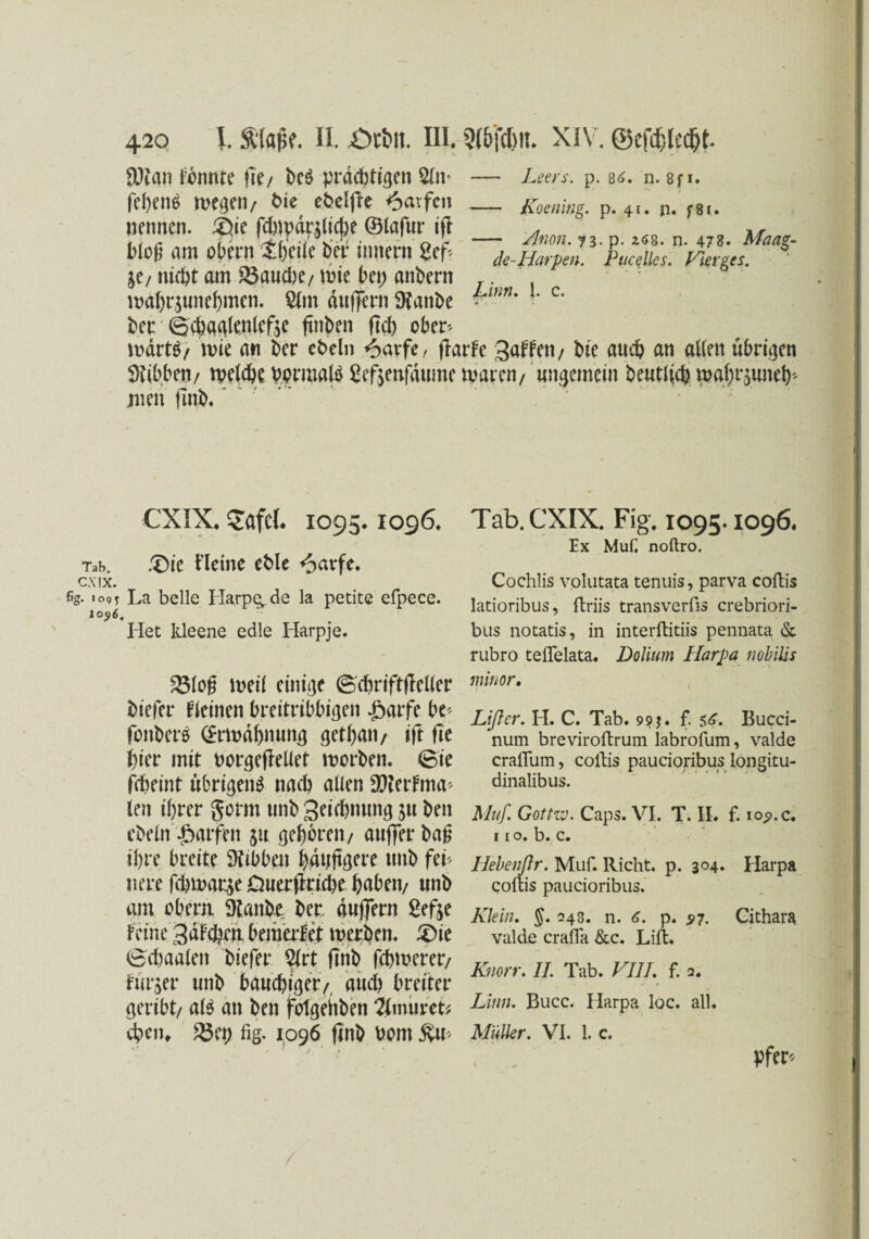 —- Leers. p. 86. n. 8fi. SDian rennte fTe/ beö prächtigen 2ln- fehenä wegen/ bte et>elfre Warfen nennen. ®ie fdnvdrjlicfie ©lafur ifl bloß am obern ih’eiie ber innern 2ef* je/ nicht am fauche/ wie bet; anbern wäbrjunehmen. £lm duffem 9?anbe ber B$aglenlefje finden ftch ober* mdrtS/ wie an her ebeln <&avfe, ftarfe Saften/ hie auch an alten übrigen SHibben/ welche bormalö 2ef$enfdume waren/ ungemein heutig wgf)r$uneb* men fmb.' - Koening. p. 41. p. f 81. — Anon. -73 p. 268. n. 473* Maag- de-Harpen. Pucelles. Hier ge s. Linn. 1. c. CXIX. £afcl. 1095.1096. Tab. !£>ie Heine efcle <5avfc. CXIX. % «°9T La belle Harpen de la petite efpece. 10516. Het lUeene edle Harpje. 33loß weil einige (Bchriftfleller biefer deinen breitribbigen ßarfe be* fonberö Ermahnung gethatt/ ift fit hier mit borgeftellet worben. @ie fcheint übrigens nach allen SWerFma* len ihrer gönn unb geichnung ju ben cbeln Warfen ju gehören/ aujfer baß ihre breite Dttbben häufigere unb fei* nere fchwarje Duerfiriche h>aben; unb am obern Dtanbe ber duffern 2ef$e Feine Saften bewerfet werben. £>ie ©chaaleti biefer %tt ftnb fehlerer/ Furjer unb bauchiger/ auch breiter geribt/ als an ben fotgehben %\mnu eben* 23et) fig. 1096 ftnb bom 5vU* Tab. CXIX. Fig. 1095.1096. Ex Mull noftro. Cochlis volutata tenuis, parva coltis latioribus, ftriis transverfis crebriori- bus notatis, in interftitiis pennata <Sc rubro tefielata. Dolium Harpa nohilis minor, Lißer. H. C. Tab. 99 j. f. 56. Bucci- num breviroftrum labrofum, valde craflum, coltis paucioribus longitu- dinalibus. Muf, Gottzv. Caps. VI. T. II. f. iop.C. 11 o. b. c. Ilebenßr. Muf. Rieht, p. 304. Harpa coltis paucioribus. Klein. §. 048. n. 6. p. $7. Cithara valde cralla &c. Lift. Knorr. II. Tab. VIII. f. 2. Linn. Bucc. Harpa loc. all. Müller. VI. 1. c. pfer* /