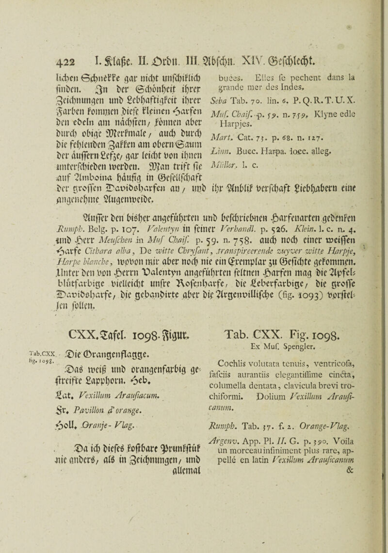 lieben ©cbnelrTe gar ntd>t Utlfchiflich buces. Elles fe pechent dans la finben. 3» her ©d)6nt)Ctt ihrer grande mer des Indes, geicbmmgen tmh LebhaftigFcit ihrer Seba Tab. 7o. ün. 6. p.q.r.t.U.X. garten Fomijien .biefe Wnen 6«fen m[ ebaif. ?.w, Klyne edle heit ebeln am ndchfren/ lernten aber Harpjes. but-d) obige alterfinale, aud> burd) MarL Cat. t8. n. hiefehlendengaFFenantobern©atmt r. her dufiern Lef$e/ gar (eicht bon ihnen ^imu ßuec* Happa‘ occ*a e§* imtcrfdbiehen werben. DJJan trift fir MMkr, 1. c. .auf ?lmboma bduftg in ©efel(fd)aft her örofien iTarthobavfen an / tmh ihr WnbltF uerfchaft Liebhabern eine angenehme Llugentbeihe. Puffer hen bisher angeführten unh hefchriehne« £arfenarten gehenFen Rumph. Belg. p. 107. Valentyn in feiner Verhandl. p. 526. Klein, 1. c. m 4. imh £err Meufihen in Muf CJmf. p. 59. n. 75g. auch noch einer ta^ciffen /^avfc Cithara alha, De Witte Cbryfant, .trmspireerjende zuy-ver wittß Harpje, Harpe blanche, mobott mir aber noch nie ein (fremplar 511 ©eftdjte geFotnmeit. .Unter hen bon £errn Dalentpn angeführten feitnett Warfen mag hie 2ipfcU bliitfarbttje bieUeid)t unfre ^ofenharfe, hie üeberfarbttje, hie ßrofle HDatnbebavfe, hie tjebgnbirte aber hie ?(rgcnptlltfd)e (fig. 1093) bpifteb Jen folletto / 1 . . 1 CXX.Safcl. 1098- föipt. Tab.cxx ^ie (Dranttettflatme. h8‘ '058. 3Da$ weiß tttth orangenfarbig ge> ^reifte Lapphorn. 6cb, fiat* Kexillum Araufiacum, Sr* Pavillon, d' orange. 3oU* Oranje- Klag. .Da id) hiefeS Foflbare ^runFflüF itieanherS, als in geichmmgett/ tttth allemal Tab. CXX. Fig. 1098. Ex Muf. Spengler. Cochlis volutata tenuis, ventricofa, fafeiis aurantiis elegantiffime cin&a, columella dentata, clavicula brevi tro- chiformi. Doli um Vexillum Araufi- canwn. Rumph. Tab. 57. f. 2. Orange-Klag. Argenv. App. PI. 11. G. p. $?o. Voila un morceauinfiniment plus rare, ap- pelle en latin Kexillum Arauftcanum &