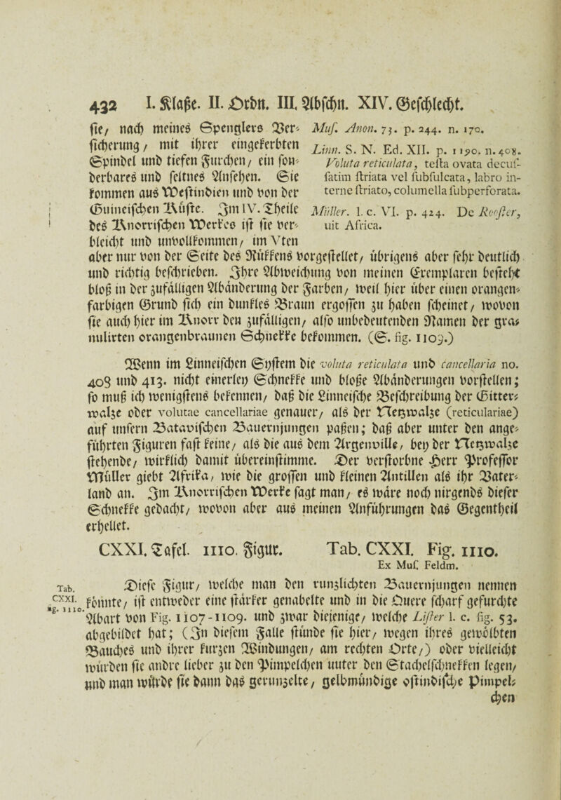 Tab. CXXI. *g. III 432 I. ftlape. II. £)cbn. III. 3lbfcf)it. XIV. @cfcf)lcd)t. fle/ nach meinet ©penglere Q3er^ Muß Anon. 7$. p. 244. n. 170. fichcrung, mit ihrer emgeferbten Limt s N. Ed. XI]. p. I 1^0. 11. 4C8. (Spindel Unb tiefen gurren/ ein fom Voluta reticulata, tefta ovata decuf- berbareß uni) feitneö 5(nfel)en. 0ie fativn ftriata vel fubfulcata, labro in- fommen aus VDeftinbtcn mit) POll Der terne ftriato, columella iubperforata. (Enuneifchen 2\ufte. 3m IV. Xf)eite Müller, l.c. VI.p. 4z4. De Rooßer, be£ 2\norrifd;en VDertVe ift fie Per* uit Africa. b(eicf)t unt) unPcllfcmnieii/ irnvten aber nur Pen Per ©eite beö Dtiiffenä Porgeflellet/ übri^en^ aber fefyr beutlicft mit) richtig befchrieben. 3bre Zbtpeid;ung Pen meinen ©remplaren befteb* blog in ber jufdlligen Zbdnberung ber garben/ meil hier über einen orangen* farbigen ©runb ficb ein bunfleS 25rauit ergoffcn 511 haben fdjeinet/ moPon fie and) hier im 2\novv beu zufälligen/ atfo mibebeutenben Hainen ber gva* nulivten orangenbraunen ©dmetbe befommen. (©. fig. 1109.) 2Benn im £inneifd)en ©l) ft em bie voluta reticulata unb cancellaria no. 403 tinb 413. nicht einerlei; ©ebnere mib Möge Zbdnbermigen Porfiellen; fe muf ich tpenigftenö befenneit/ bag bie £inneifd)e Befdjreibung ber ©itter* realst eher volutae cancellariae genauer/ al$ ber £let$voalse (reticulariae) auf unfern Batavdfcben Bauernjungen paßen; bag aber unter ben ange* führten giguren faft feine/ a($ bie aue bem Zrgenuiüe, bei; ber Hctsvoal$c flebenbe/ wirtlich bamit iibereinflimme. X)er Perflorbne £err ^refeffer tttüUer giebt Zfvif a, wie bie grofjen nnb fleinen ZntiUen af$ ihr Xtoter* tanb an. 3w X\norrifd;en tDerfe fagt man/ c$ wäre nod) nirgenbö biefer ©chneffe gebad)t/ wopoh aber au$ meinen Zuführungen bas ©egentheil erhellet. CXXI. Xafcl 1110. giguc. Tab. CXXI. Fig. n 10. Ex Mufi Feldm. £>iefe gigur/ weld)e man ben vunslichten Bauernjungen nennen fcnntc/ ift entweber eine frdrFer genabelte unb in bte Ouere fd)arf gefurd)te Zbart Pon Fig. 1107-1109. unb zwar bieienige/ weldie Lifter 1. c. fig. 53. abgebilbet hat; (3n biefem galle ftünbe fie hier/ wegen ibre$ gewölbten *$auche$ unb ihrer fursen 2$inbungeii/ am red;ten Orte/) ober oielleid)t würben fie anbre lieber 511 ben ^impeldjen uuter ben ©tachelfd;neffen legen/ unb man würbe fie bann ba$ gerunzelte, gelbmunbige ojtinbijci;e pimpel; chen