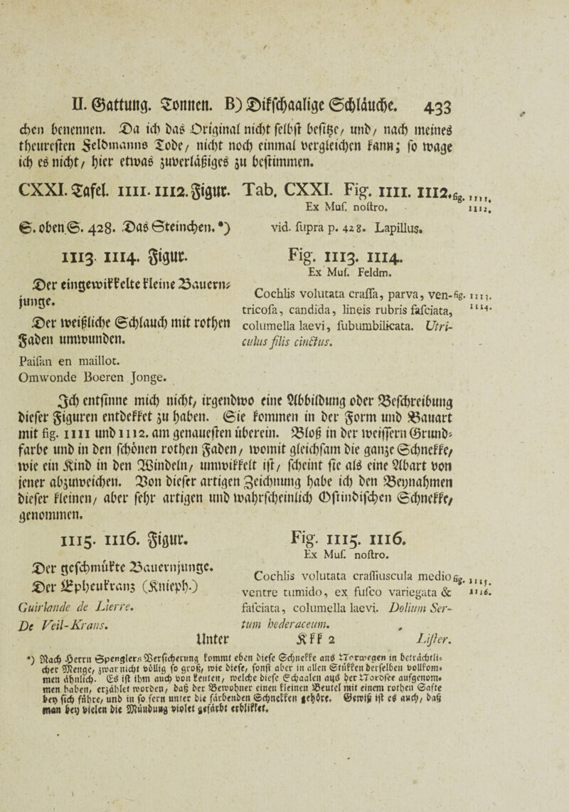 1 eben benennen. £>a nb bas örujmaf nid)t feibft befi§c/ unb/ nach meinet tbeureften Selbmanns lobe/ nid)t noch einmal m*3leid)ctt Fan«; fo macje icb esnidjt/ l)ia etivas juüeriagitje^ ju bcftimmen. CXXI. 5äfel. im. ui2.gipc. Tab. CXXI. Fig.nn.1112.fig.,,,,, Ex MuH noftro. m*) ©. Oben©. 428* ©teinc^en**) vid. fupra p. 428. Lapillus. 1113.1114. giguc. £)er emtjett»igelte Heine 23auern* j «nge. £>er weiflidie ©cblaud) mit rotten gaben ummunben. Fig. 1113. 1114. Ex Muf. Feldm. Cochlis volutata crafifa, parva, ven-%. m?. tricofa, candida, lineis rubris fafeiata, llM* columella laevi, fubumbilicata. Utri- euhts filis ein ft us. Paifan en maillot. Omwonde Boeren Jonge. 3d) entjlnne mid) nid)t, irtjenbtoo eine 2(bbi(bun<j ober 23efcbreibu«3 biefer gieren entbeFFet $u haben, ©ie Fominen in bet* gorm «nb Bauart mit fig. 1111 «nb 1112. am genaueren uberein. 23lo§ in ber meiflent @run&* färbe «nb in ben febonen rotben gaben/ womit gteiebfam bie ganje©cbneFFe/ wie ein £inb in ben Sßinbeln/ ummiFFdt ift/ febeint fie aB eine5(bart bon jener abjumeicben. 23on biefer artigen 3eid)nun<j habe id) ben 35ei;nabmen biefer Fieinen/ aber febr artigen «nb mabrfdjeiniid) 0fttnbifcben ©cbneFFe/ genommen. 1115. 1116. gipr. 3)er tjcfcbmuHe 23auevnjunt$e. £)er ^HpbeuFranj (ÄniepbO Guir lande de Vier re. De Feil-Kraus, Unter Fig. 1115. 1116. Ex Muf. noftro. Cochlis volutata crafliuscula medio£s. JIJ5 ventre tumido, ex fufco variegata & **i*. fafeiata, columella laevi. Dolium Ser- tum bederaceum, 5vFF 2 Lifier, *) 9lac& -Oerrn Spengler.*. iBetficbening fornmt eben tiefe Gdjncf'fe ati$ tTaraieaen in befrdcfitlU eber Stetige, 3n>atttid)t völlig fo groß, roie tiefe, fonft aber in allen Stuften berfelbeu vollfom» men dt>nlic^. (£3 ift ibm auch von Leuten, roelcbe tiefe Seeaalen bec^orofee aufgenom* men haben, erjdblet Worten, baß tec 23ewobner einen fieinen SSeutel mit einem rofben Safte bet) ficb führe, unt in fo fern unter tie fdrbenten Sctjneffen gehöre. ©ewiji ifl c$ «web/ baß man bet) vielen tie SJlüntung vivltt gefdtbf erblitfef. 1