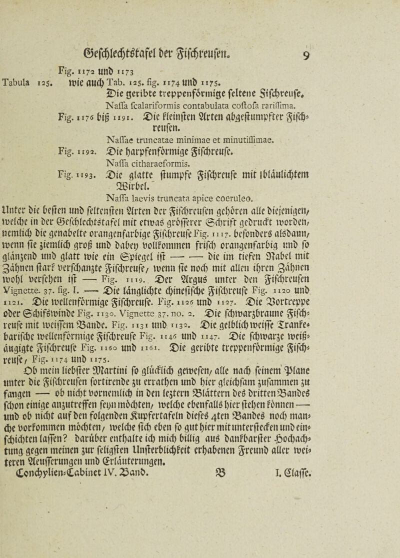 ©efdjledjtöfafel 6ef giförnifeit. Fig. 1172 mit) 1173 Tabula 125. Zie flUd) Tab. 125. fig. 1174 U1tb 1175. IDie tjeribte treppenfovmtge feltene Stfc^rcufe# Naffa fcalariformis contabulata coftofa rariflima. Fig. i 170 big 1191. £>ie Fleinflen Slrten abijeflumpfter gifcb* reufen. Naffae truncatae minimae et minutiffimae. Fig. 1 r92. £ne barpfenförmige gifcfereufc. Naffa citharaeformis. Fig. 1193. :£>ie glatte (lumpfe gifcbmtfe mit ibtdulii'btem 2ßirbel. Naffa laevis trimcata apice cocruleo. Unter bie befreit unb feltenflen Wirten bcr Sütl>rcuFcn geböten alte btejemgetv zetdie in bet ©efcbledffstafel mit etzaö gröfTerer ®ct>rtft gebrud t zorbez uemticb bie genabelte orangenfarbige gifcbreufe Fig. 1117. befonberS alßbann/ zenn fte deutlich grog unb habet; bollfommen frifct; orangenfarbig unb fo gldnjenb tmb glatt zie ein (Spiegel ift-bie im tiefen fflabel mit gdbneti ftart berfdjanjte Jifdjreufe/ zenn fte nod) mit allen ihren Sahnen zof;l berfeben ifi — Fig. 1119. £)er 2lrgu6 unter ben Jifcbreufen Vignette. 37. fig. i. — £)ie Idnglkbte ebineftfebe Jifcbreufe Fig. 1120 unb 1121. ^)ie zellenförmige gifebreufe. Fig. 1126 unb 1127. £)ie $ortreppe ober @ebif$zinbc Fig. 1130. Vignette 37. no. 2. 3)ie fd)zar$braune gifdj* teufe mit zeijfem 23anbe. Fig. 1131 unb 1132. £)ie gelblicbzeiffe Xranfe* barifdje zellenförmige gifebreufe Fig. 114« unb 1147. £)ie febzarje zeig* dugigte gifebreufe Fig. höo unb nsi. £)ie geribte treppenförmige gifcb* teufe/ Fig. 1174 unb 1175. Ob mein liebjler Martini fo glmflid) gezefen/ alte nad) feinem ^lane unter bie gifebreufen fortirenbe jtt erratben unb hier gleiebfam jufammen ju fangen — ob nieftt bornemlicb in ben lejtern flattern beS britten23anbe$ jebon einige anjutreffen fei;n möchten/ zeldje ebenfalls hier flehen tonnen — unb ob nicht auf ben folgenben ^upfertafeln biefeö 4ten 23anbe$ nod) man* <be bor tommen möditeii/ zeldie fleh eben fo gut hier mit unterjleefen unb ein* fcbkbtenlaffen? baruber enthalte ich mich billig aug banFbarfler £od)acb* tung gegen meinen jur feligjlen Unjlerblicbteit erhabenen greunb aller zei* teren $leufierungen unb Erläuterungen. Con^yliemCabmet IV. 23anb. S5 I. Elaffe.