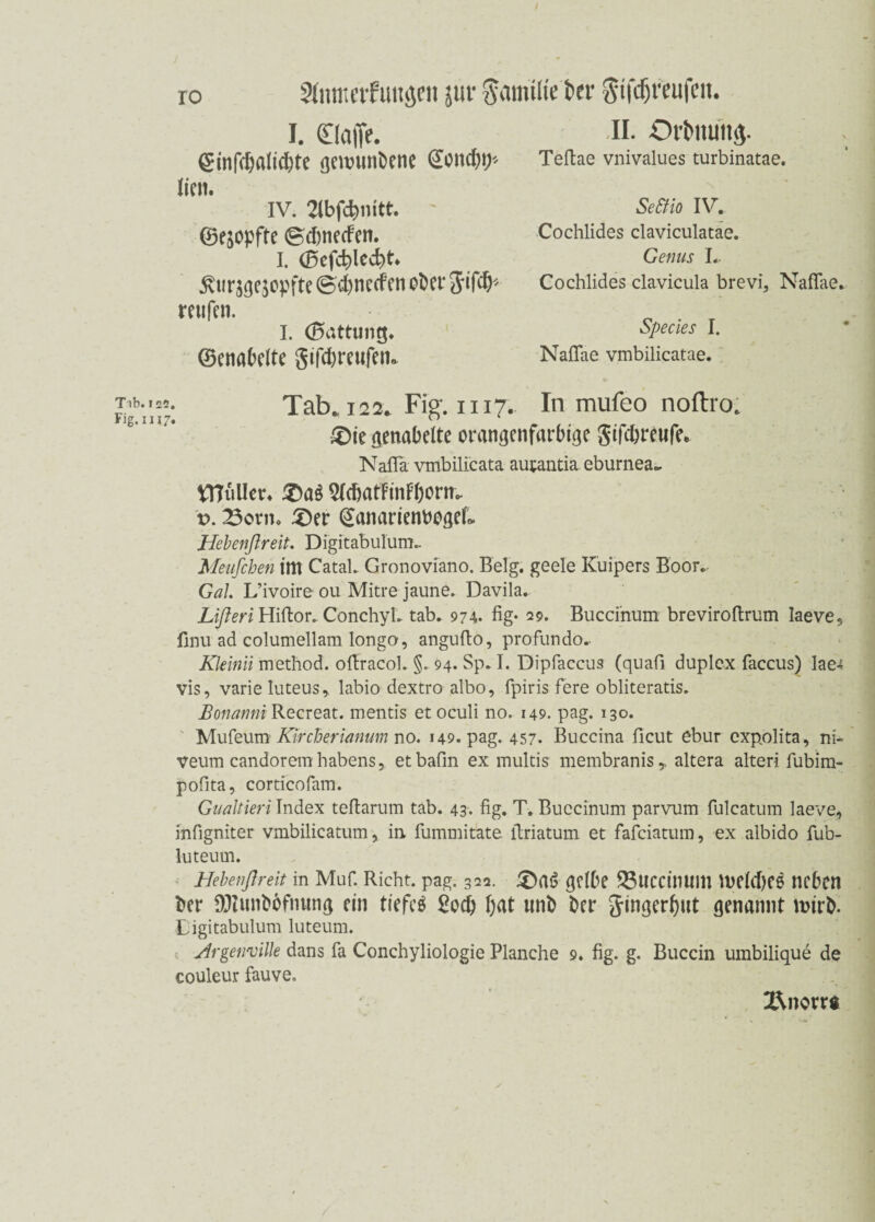 / ro Slnmctf iwuyn jwr gamüte t>er Siföreufcn. I. ©affe. ©nfd)alid)te gewunbene @ond)t> lien. IV. ©ejopfte ©cbnecFen. i. ©efcblecbt* ^iirjgejopfte (Bcbnccfen ober 5ff^ retifen. I. (Gattung. ©enabefte gifdjreufen* II. Orbmm$. Teftae vnivalues turbinatae. SeStio IV. Cochlides claviculatae. Genus L. Cochlides clavicula brevi, Naflfae. Species I. Naflae vmbilicatae. Tab. i22. Fig. 1117. In mufeo noftro. ®ie genabelte orangenfarbige gifdjreufe. Nafla vmbilicata autantia eburnea~ ¥ttul!er. £)aS 5((batFmFI)orn. v. 23ovm 3)er QanarienbogeL Hebenflreit. Digitabulum.. Meufchen im Catal. Gronoviano. Belg, geele Kuipers Boor. Gal L’ivoire ou Mitre jaune. Davila. Liften Hiftor. ConchyL tab. 974. fig* 29. Buccinum breviroftrum Iaeve, finu ad columellam longo, angufto, profundo. Kleinii method. oftracol. §. 94. Sp. I. Dipfaccus (quafi duplex faccus) Iae4 vis, varie luteus, labio dextro albo, fpiris fere obliteratis. Bonanni Recreat. mentis etoculi no. 149. pag. 130. Mufeum Kircherianum no. 149. pag. 457. Buccina ficut ebur expolita, ni- veum candorem habens, etbafin ex multis membranis,, altera alteri fubim- pofita, corticofam. Gualtieri Index teflarum tab. 43. fig. T. Buccinum parvum fulcatum laeve, infigniter vmbilicatum, in, fummitate llriatum et fafeiatum, ex albido fub- luteum. Hebenflreit in Muf. Rieht, pag. 32a. gelbe 23UCCimtm U>el(f)e$ neben ber DJiunbofmtng ein tiefet 2od) fiat unb ber 3’inöcr^ut genannt mirb. Ligitabulum luteum. jirgenville dans fa Conchyliologie Planche 9. fig. g. Buccin umbilique de couleur fauve, 2\norr$