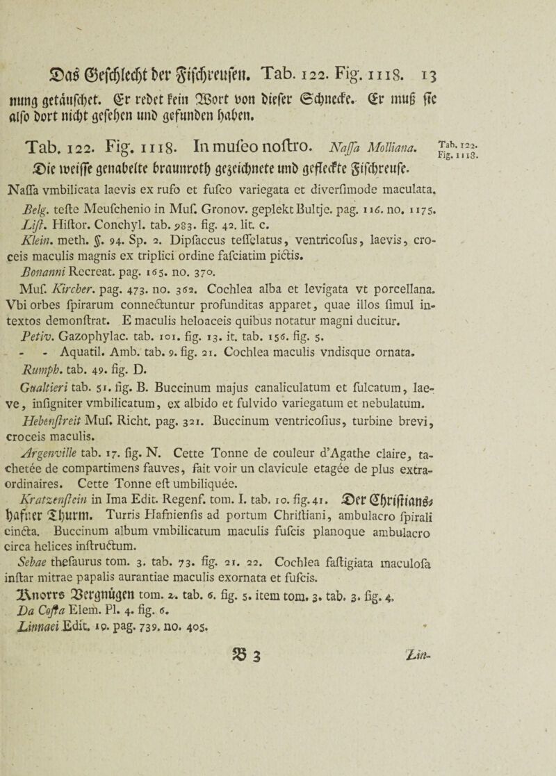 iuin<j getäufdjet. (gr rebct Fein !2Öort bon tiefer 0'cfyneife. C£r mug jTc aifo bort nicht gcfe&cn imb (jefunDen f>aben. 1 Tab, 122. Fig. mg. Inmufeo noftro. Naß Molliana. ®ie weiffe fienabeite braunrot!) gezeichnete unb rjefTecftc gifchreufe- Nafia vmbilicata laevis ex rufo et fufco variegata et diverfimode maculata. Belg, teile Meufchenio in Muf. Gronov. gepiekt Bultjc. pag. 116. no, 1175. Lift. Hiltor. Conchyl. tab. 283. fig. 42. lit. c. Klein, meth. §. 94. Sp. 2. Dipfaccus teflclatus, ventricofus, laevis, cro- ceis maculis magnis ex triplici ordine fafciatim pidlis. Bonanni Recreat. pag. 165. no. 370. Muf. Kircher. pag. 473. no. 302. Cochlea alba et levigata vt porcellana, Vbiorbes fpirarum connedhmtur profunditas apparet, quae illos firaul in- textos demonftrat. E maculis heloaceis quibus notatur magni ducitur. Petiv. Gazophylac. tab. 101. fig. 13. it. tab. 150. fig. 5. - Aquatil. Amb. tab. 9. fig. 21. Cochlea maculis vndisquc ornata, Rumph. tab. 49. fig. D. Gualtieri tab. 51. fig. B. Buccinum majus canaliculatum et fulcatum, lae- ve, infigniter vmbilicatum, ex albido et fulvido variegatum et nebulatum. Hebenftreit Mufi Rieht, pag. 321. Buccinum ventricofius, turbine brevi, croceis maculis. ArgenviUe tab. 17. fig. N. Cette Tonne de couleur d’Agathe claire, ta- chetee de compartimens fauves, fait voir un clavicule etagee de plus extra- ordinaires. Cette Tonne eft umbiliquee. Kratzenftein in Ima Edit. Regenf. tom. I. tab. 10. fig. 41. 3)er @briftian& bnfr.cr Xburm. Turris Hafhienfis ad portum Chriltiani, ambulacro fpirali cin6ta. Buccinum album vmbilicatum maculis fufeis planoque ambulacro circa helices inftruäum. Sebae thefaurus tom. 3. tab. 73. fig- 21. 22. Cochlea fafligiata maculofa inftar rnitrae papalis aurantiae maculis exornata et fufeis. 2\novr© 23ergnu<ien tom. z-. tab. 0. fig. 5, item tom. 3* tab. 3. fig. 4- Da Cofta Eiern. PI. 4. fig. 5. Linnaei Edit. 10. pag. 739. no. 405. S3 3 Xi«- co