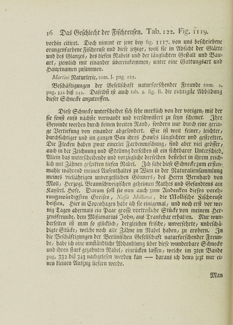 rorhin cttiret. 33od) nimmt er jene bep fig. 1117. von unö befebriebene orangenfarbene gifdjreufe unb biefe jegige, meti fi'e in 2tbfi'cbt ber ©idtte ttnb bcS ©ianjeS/ M tiefen Nabels unb ber idngiidtfcn ©e|Iait unb Vau* <ut, siemlieb mit einanber ubereinfommeu/ unter eine ©attungSart unb .gauptnamen gufammem Martini DlatUfleric. tom. I. pag. iss. Vefddftigungen ber ©efeilfdaft naturforfdenber grewnbf tom. 3. pag. 332 big 343. ®afelbft ift auch tab. s. fig. B. bie ridtigflc Stöbilbmig biefer @dnecFe anjwtreffen. SMefe (Sdnede unterfdjeibet fTcf> fef>r mertiid) m\ ber Porigen/ mit ber fte fonft aufs n achtle Permanbt unb berfdmiflert $tt fepn febeinet. 3hre ©eminbe merben burd) leinen breiten SKanb/ fonbern nur bureb eine gertn* ge Vertiefung non einanber abgefonbert. Sie ift meit feinet*/ leistet*/ burd)fid)tiger unb im ganzen Vau ihres Kaufes idnglnljter unb geftrefter. £)ie Sieden buben |mar einerlei Sar&enmifdung/ ft'nb aber riei großer/ aud) in ber Seidnung unb Stellung berfeiben ift ein jlcbtbarer ilnterfebieb. Sittein bas tmterfebeibenbe unb oor$ügtid)c berfeiben beliebet in ihrem reich* lid) mit Sahnen gefüllten tiefen DTabei. 3$ fahe biefe Sdmerfejum erfreu* mahie mdfjrcnb meines Aufenthaltes 2Bien in ber sftaturalienfammlung meinet iueijdhrigen unuergeßieeben ©onnerS/ bcS £errn Vernharb Pon SQtoli/ ßcr^gb Vraunfdmeigifdjen geheimen Käthes unb ©efanbtcnS am ^tapferl. -bofe, iDavum foll fte mm auch $um Anbeute» biefes vevely, rumjomurbigfre» ©reifes, NaJJa Molliana, btc ttToötfcbe Sifcbreufc fycifjcn* J5icr in Kopenhagen habe id) fte einigemai/ unb noch erft Por mes nig Xagen abermals ein vl)aar greife Pörtreßide (£tude Pon meinem -ber* senöfretmbe, bem TOgionariuS ‘jobn/ aus Xranlebar erhalren. 9tur mutt* berfeiten ift man fo glitcFiicb/ bergieichen frifde/ unPerfehrte/ unbefebd* bigte(Btude/ meide noch alte Sahne im D'abei haben/ $u erobern. 3« bic Velddftigungen ber Verlintfdcn ©efellfdaft naturforfebenber Jreun* be/ habe leb eine umfldnblidje Sibhanbtung über biefe mttnbcrbare 0dm ede unb ihren jlarl gebahnten DIabei/ einruefen taffen / melde im 3ten Vanbe pag. 332 big 343 nadgeiefen merben Fan — baraus ich benn jc$t nur ei* neu fieinen Auszug liefern merbe.